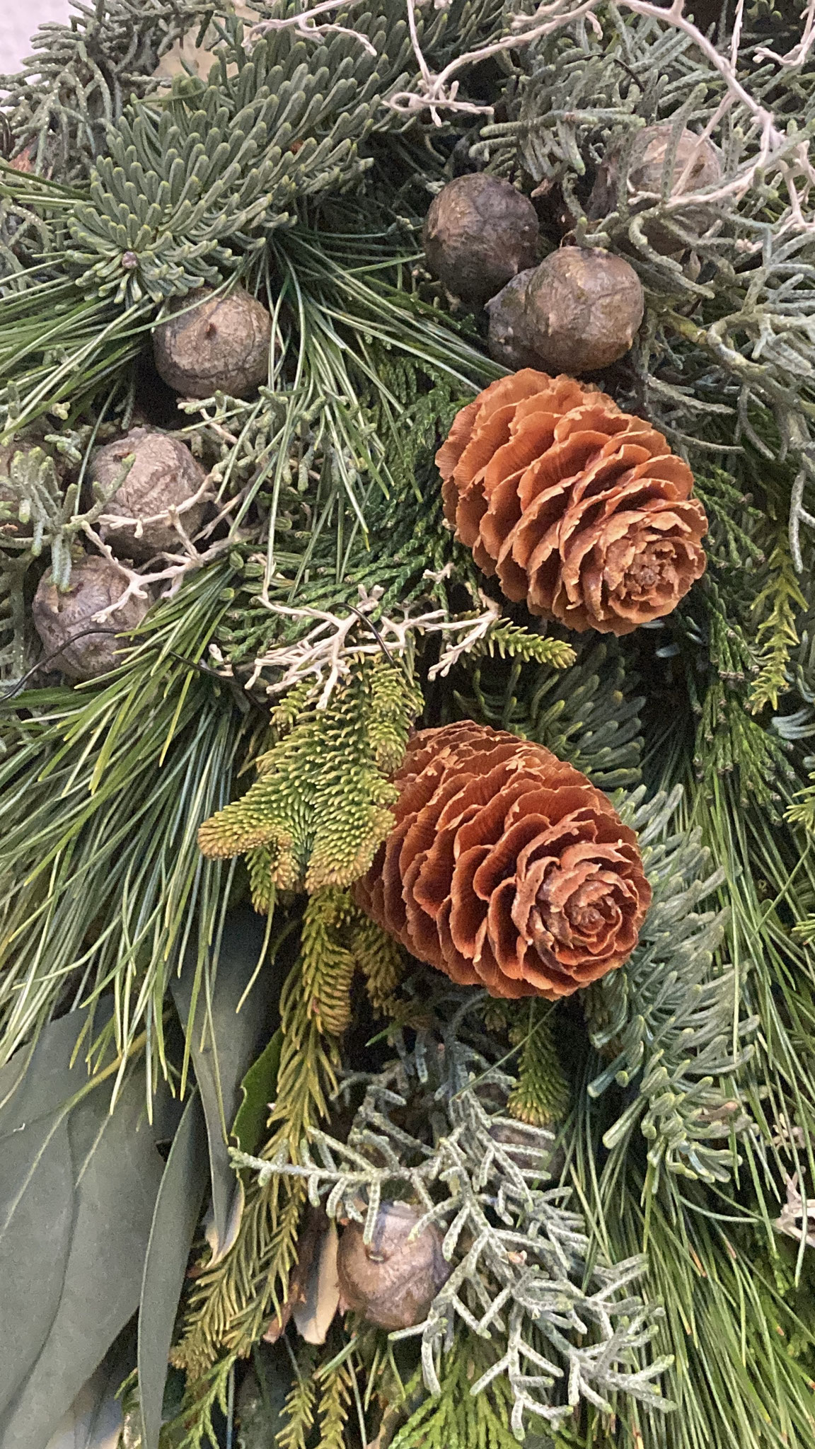 Mini kerstboompjes