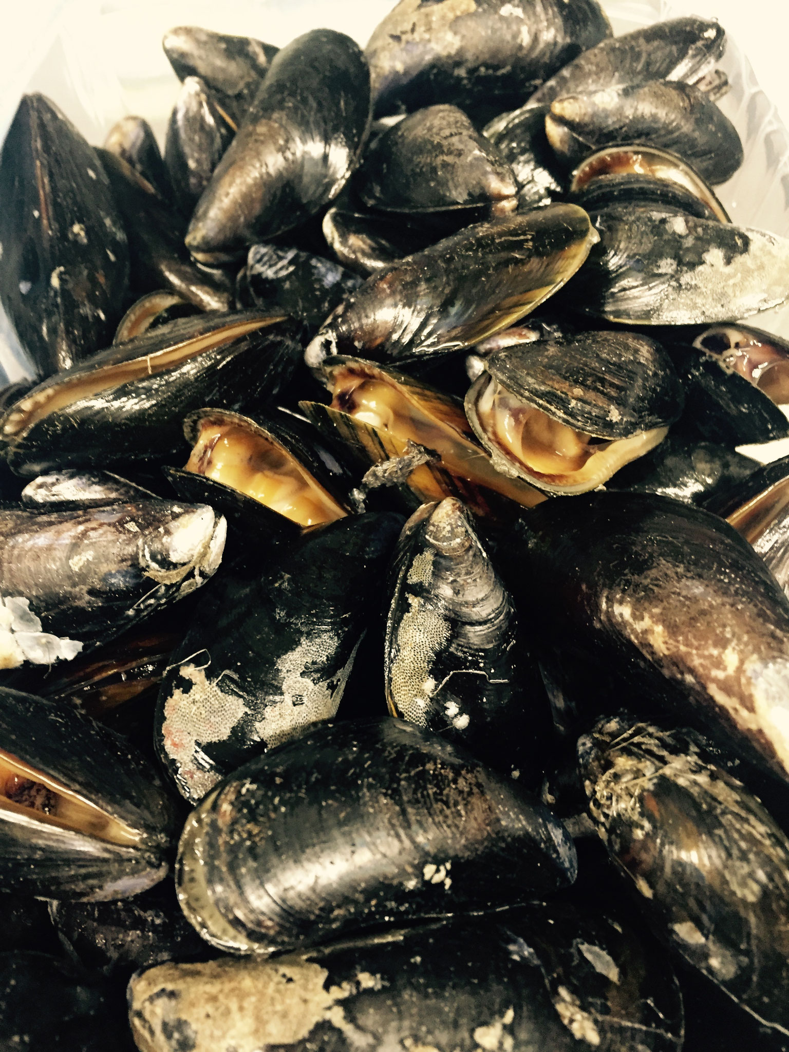 Muscheln im Weissweinsud  - Herbst bis Frühjahr zu unseren Schmankerlterminen oder auf Vorbestelltung