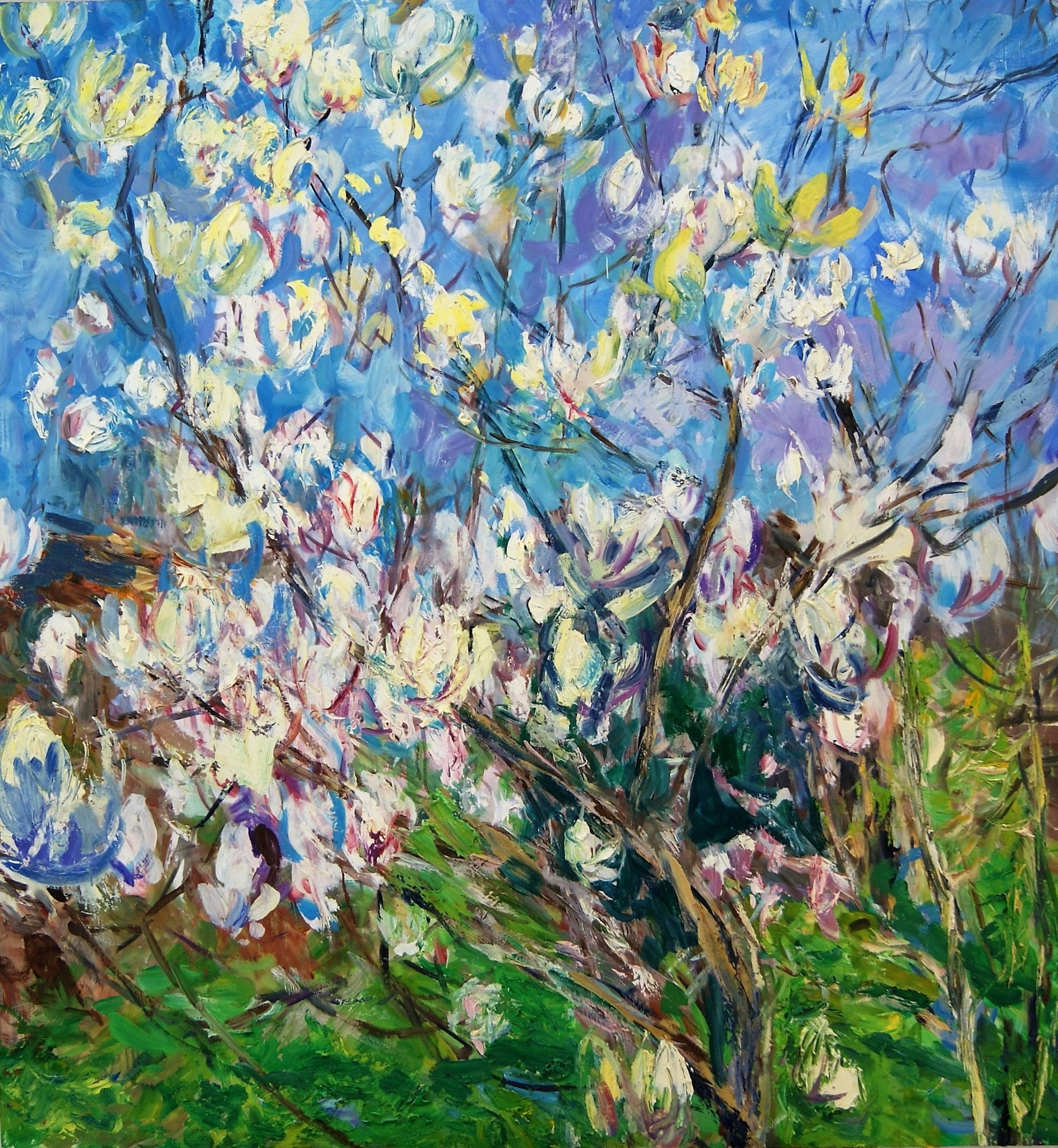 Magnolia, early Spring  130x122cm 