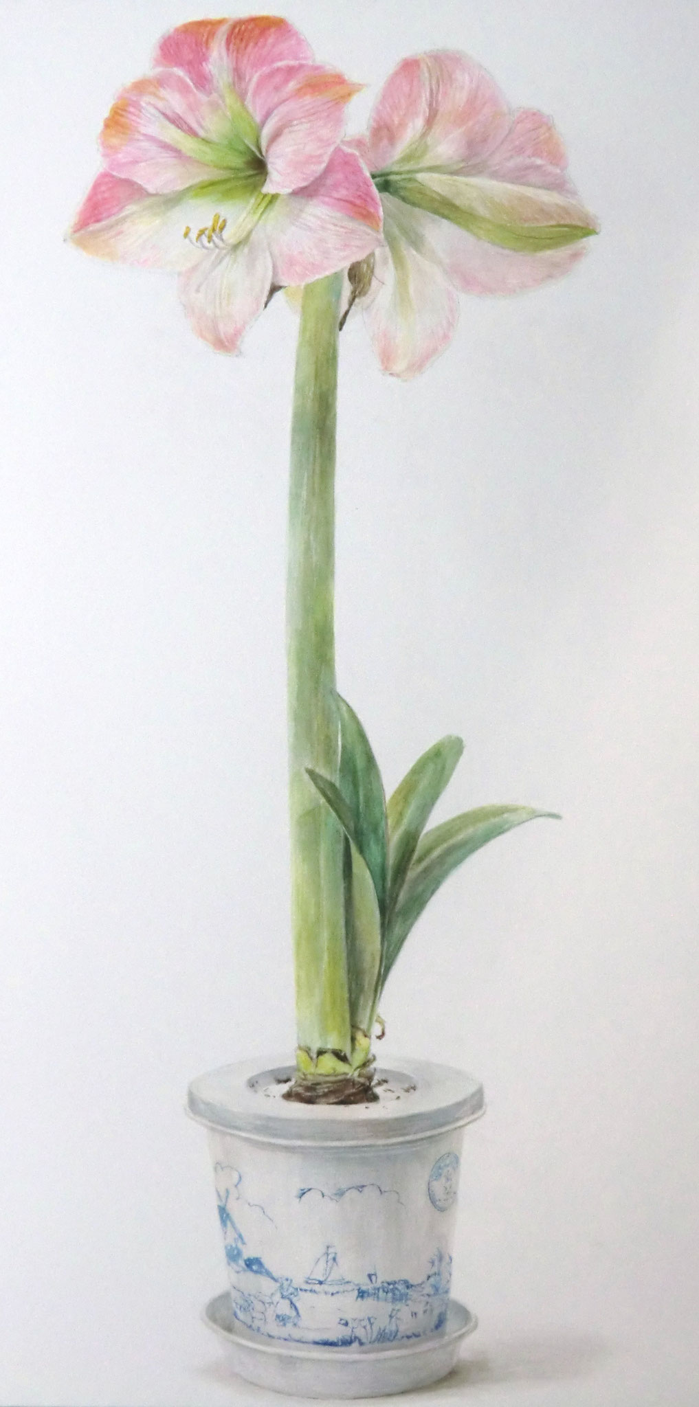 透明水彩＜花：描き切り＞　720×530mm 白象紙　【日本画系】　武蔵野美大・多摩美大合格 　 
