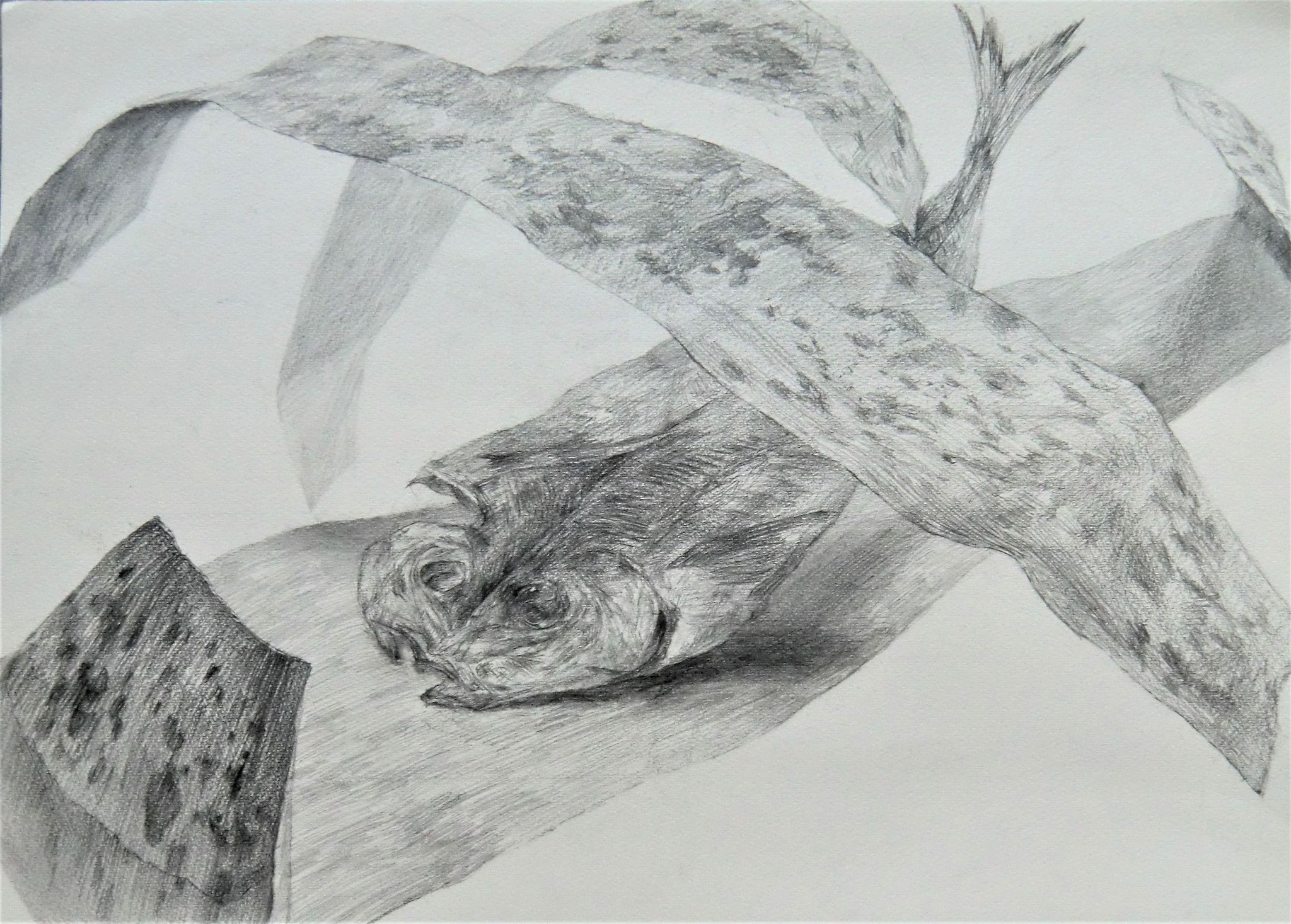 木炭画 人物画 B4サイズ 614oEx6-mcL._AC_SY200_QL15_.jpg