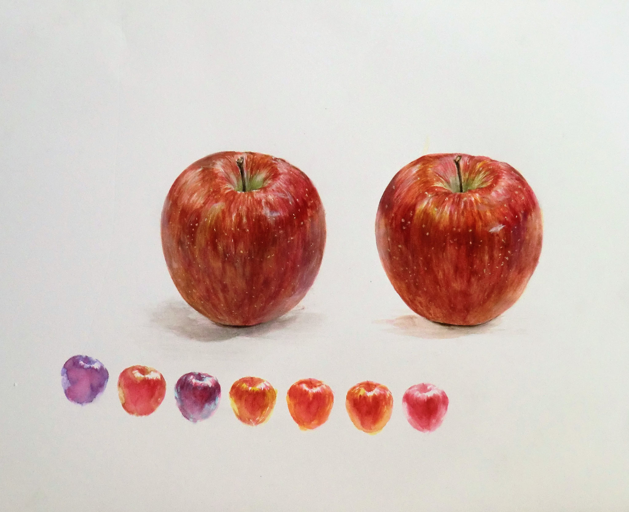 透明水彩＜重色の習作：リンゴ＞　230×260mm 白象紙　【日本画系】　  武蔵野美大・多摩美大合格 　