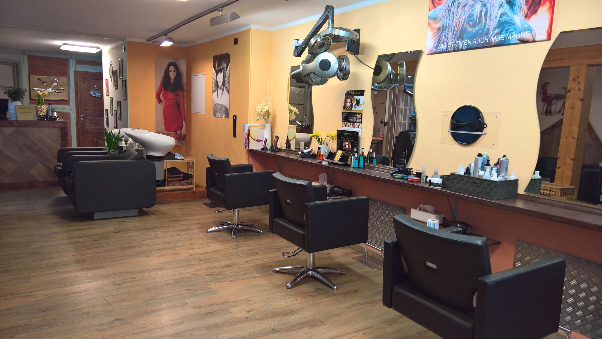 Ungewöhnlich Mähne Rahmen Friseursalon Fotos Benutzerdefinierte