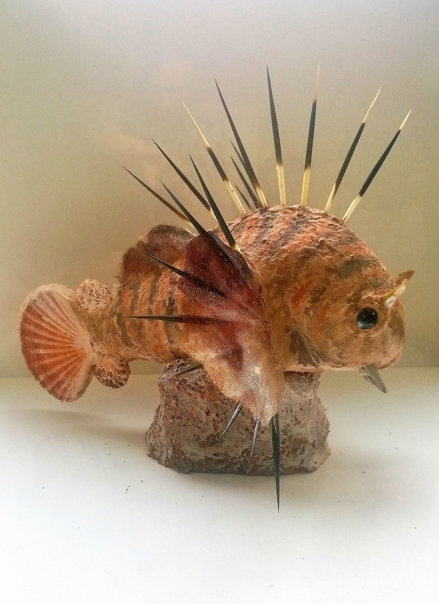 Löwenfisch 35h x 40l x 40b