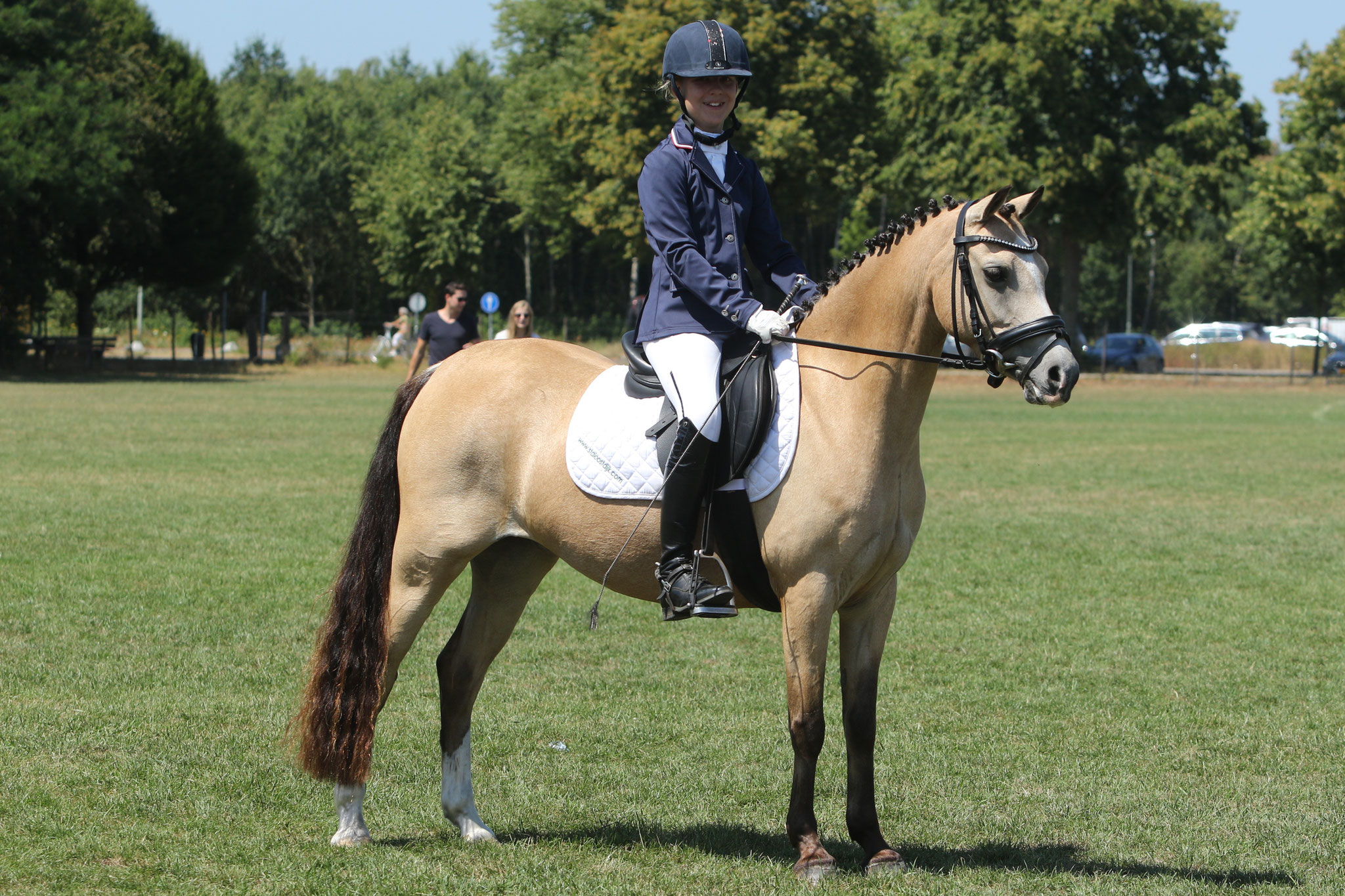 Oostdijk's Dancing Delyth, 2009, mare (Griashall Kiwi) multi champion in hand, Kroon, Sport, Preferent - sold to Italy