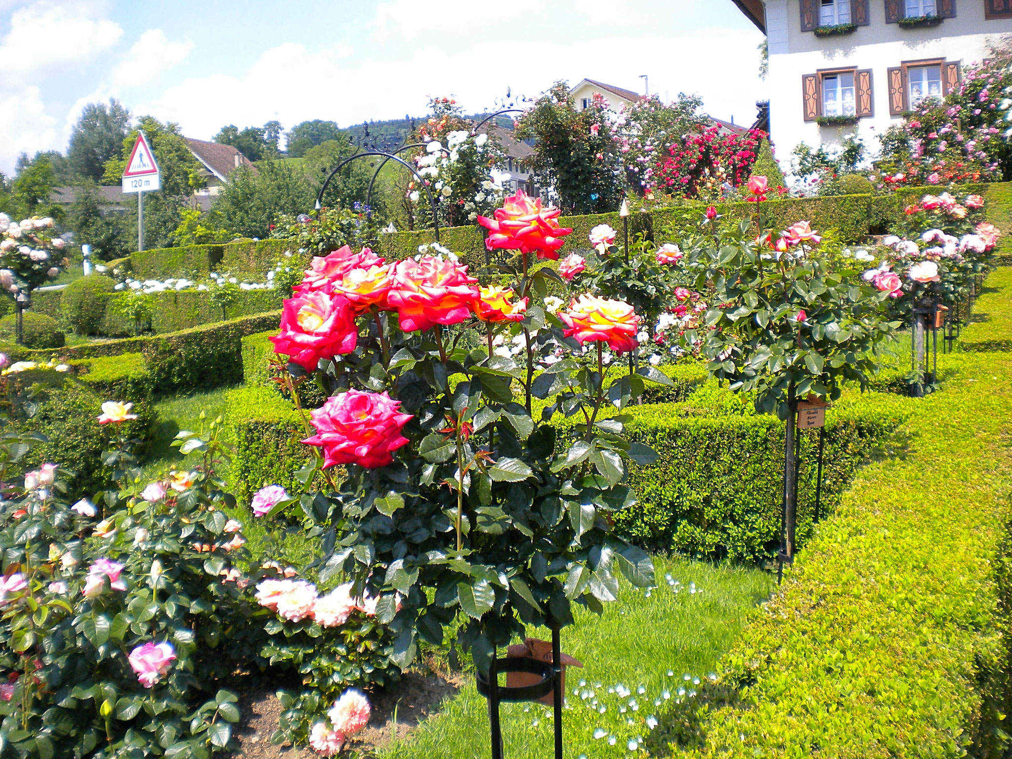 Landfrauenreise barocker Rosengarten Kollerhuus
