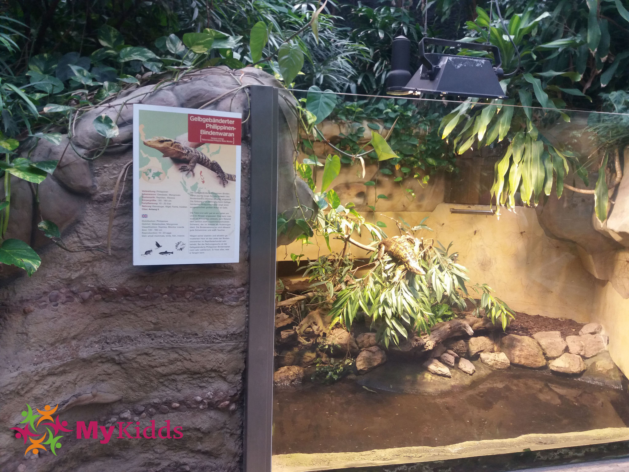 Koln Reporter Kolner Zoo Im Uberblick Mit Vielen Praktischen Infos