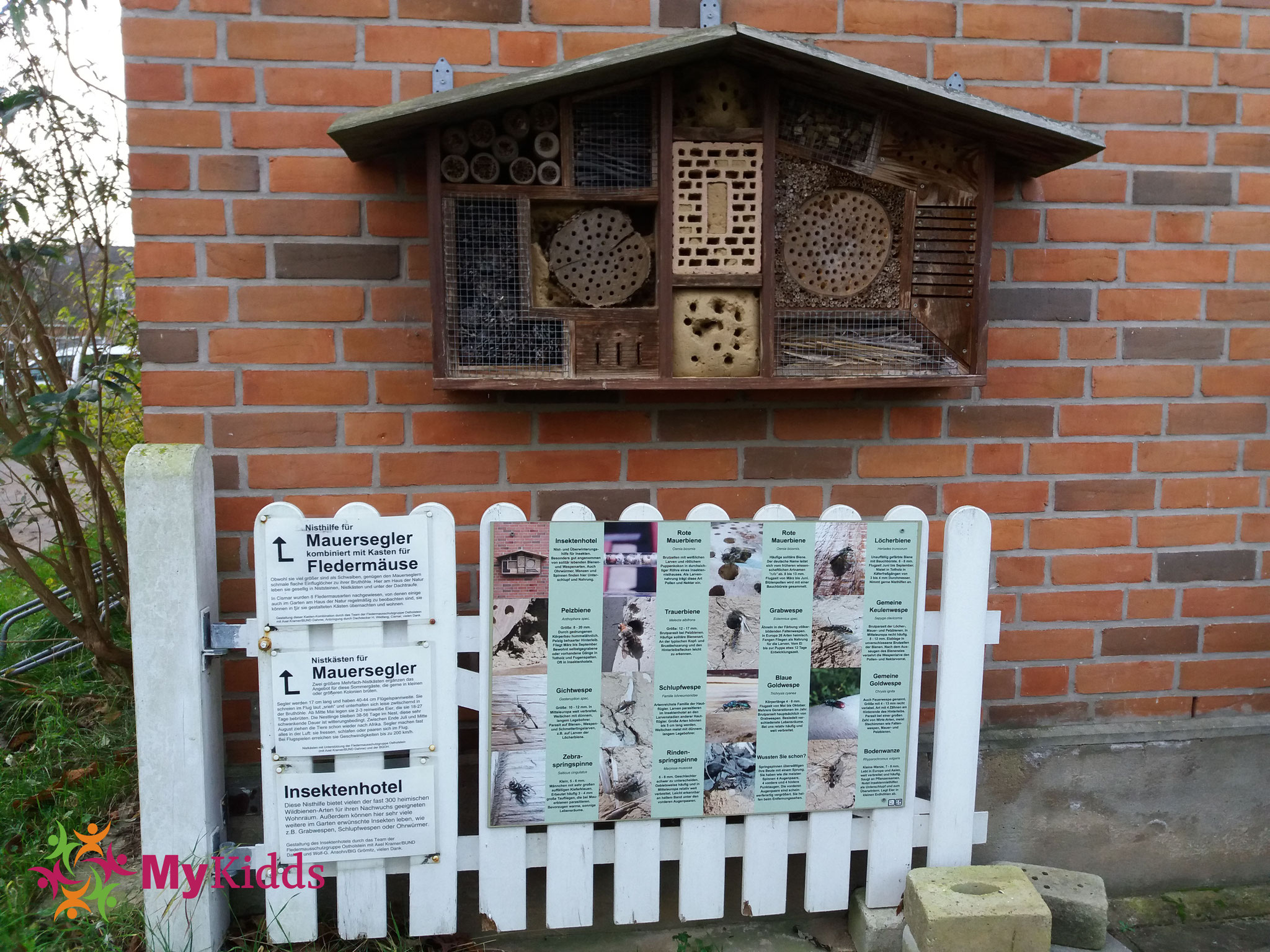 Haus Der Natur In Cismar Mykiddscom