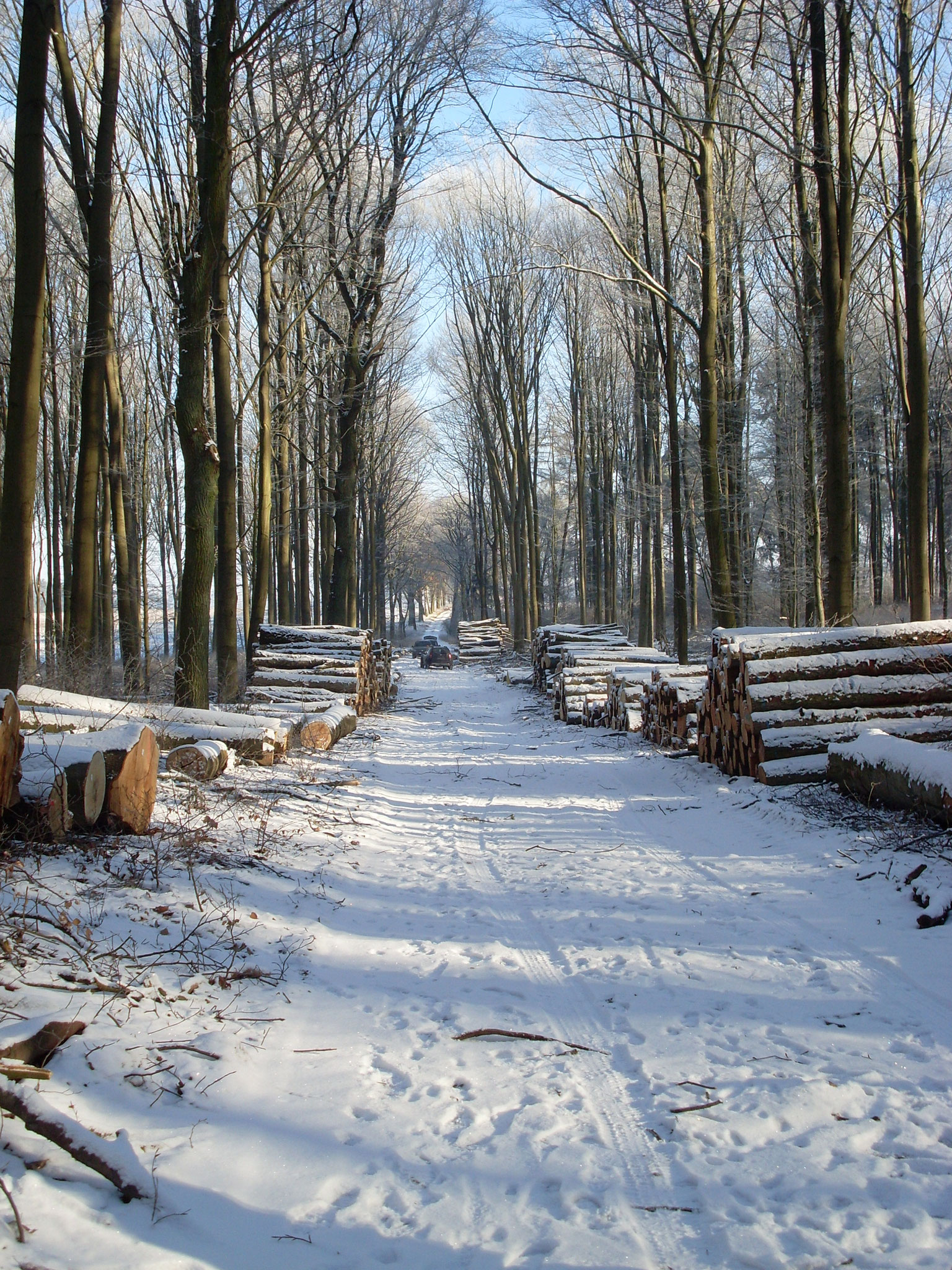 Holzpolter
