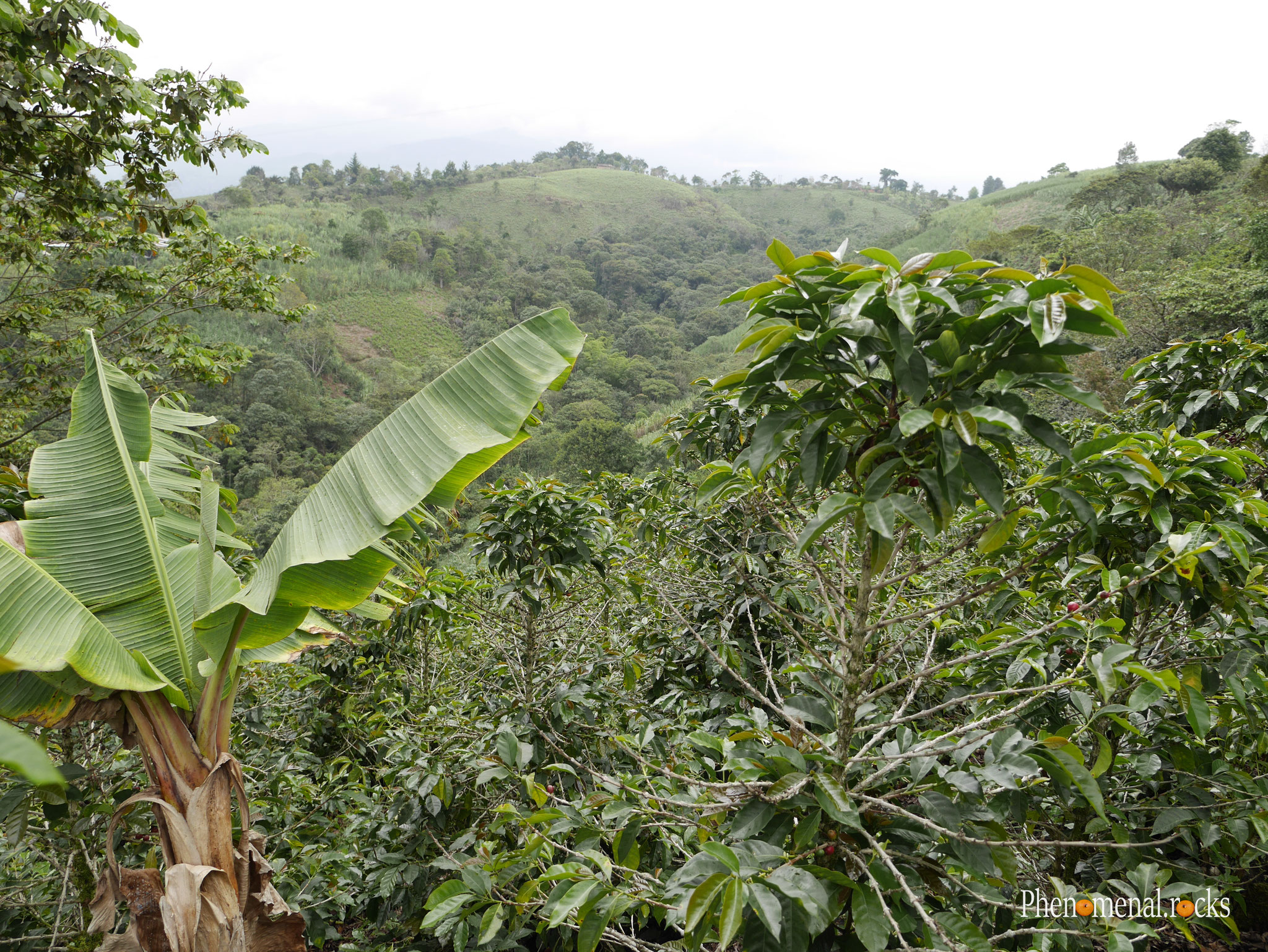 San Agustin, Huila - Tierra Activa