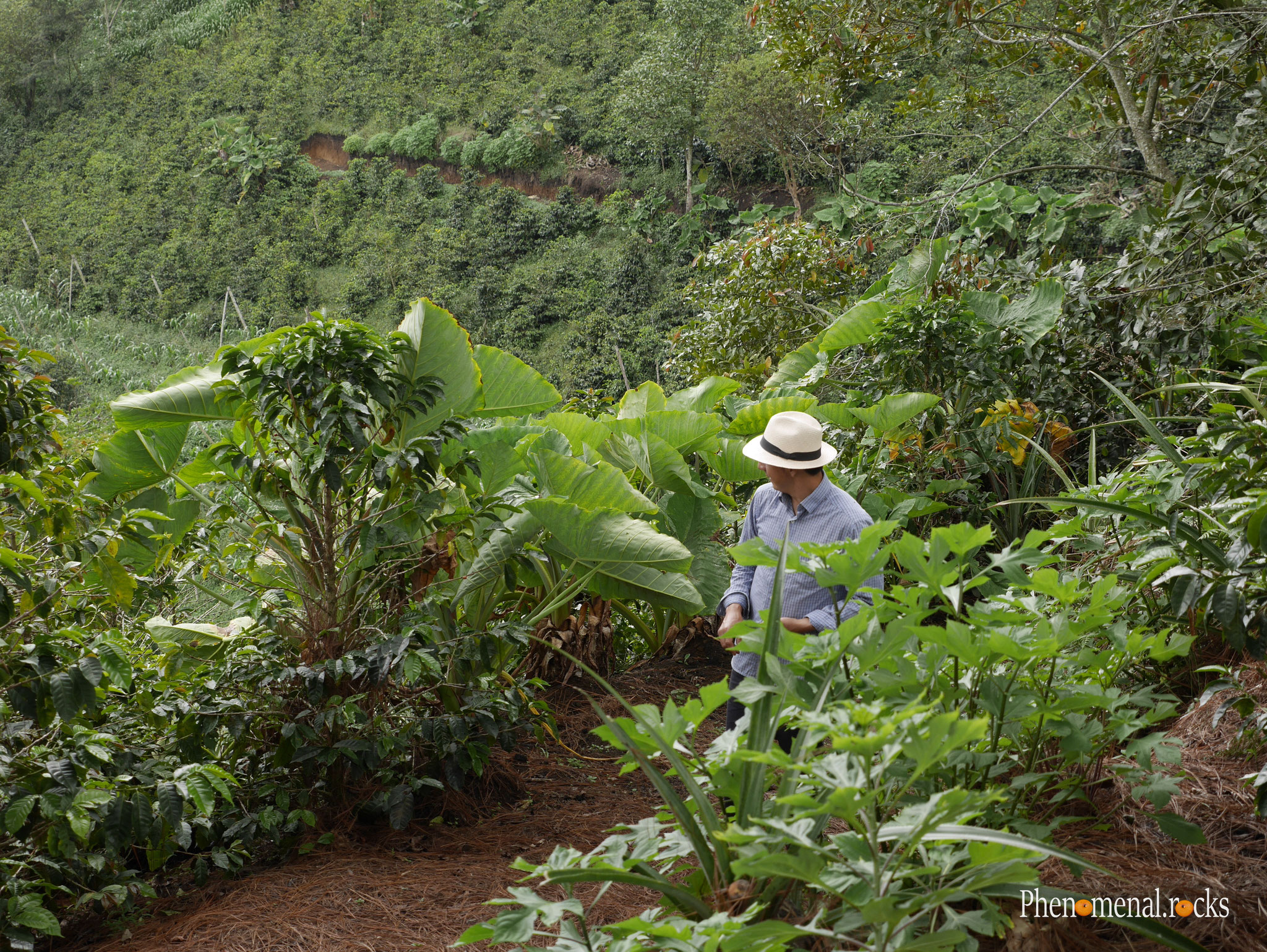 San Agustin, Huila - Tierra Activa