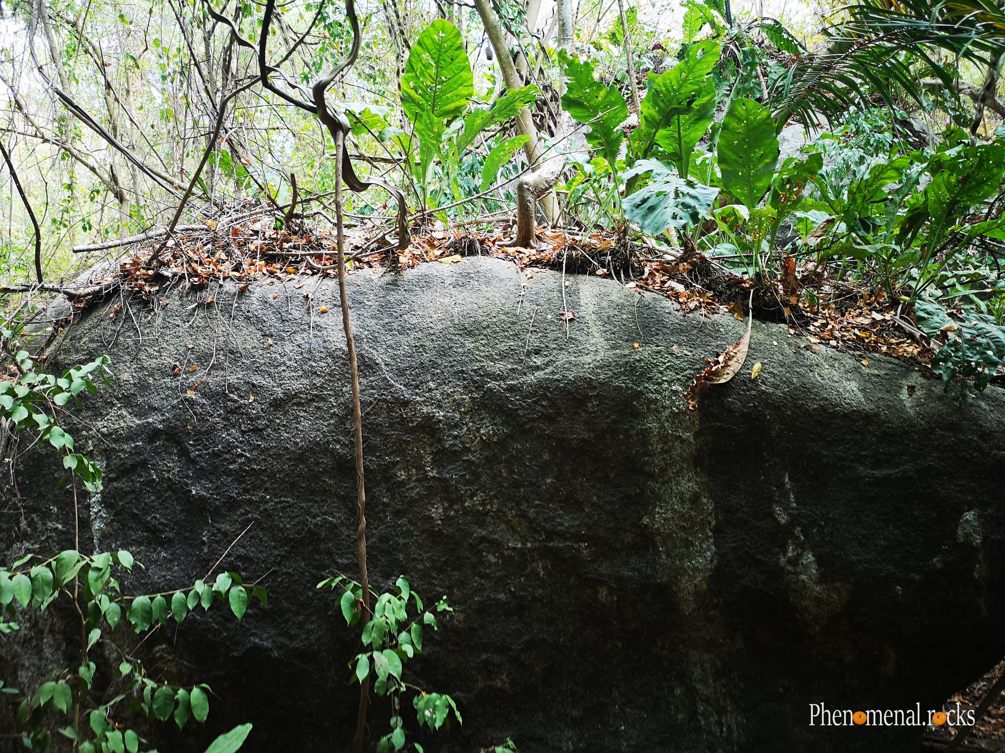 Parque Nacional Natural Tayrona, Magdalena
