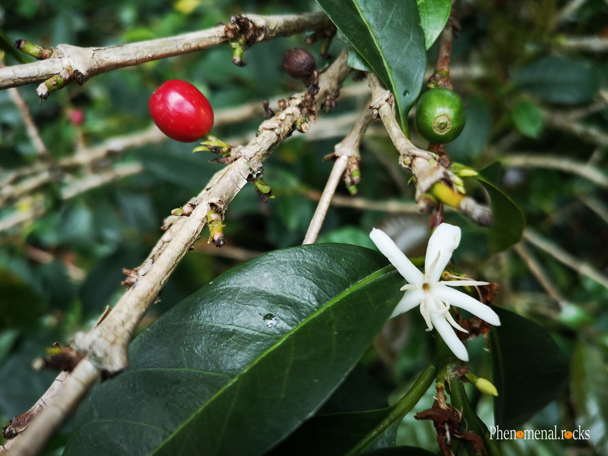 San Agustin, Huila - Tierra Activa