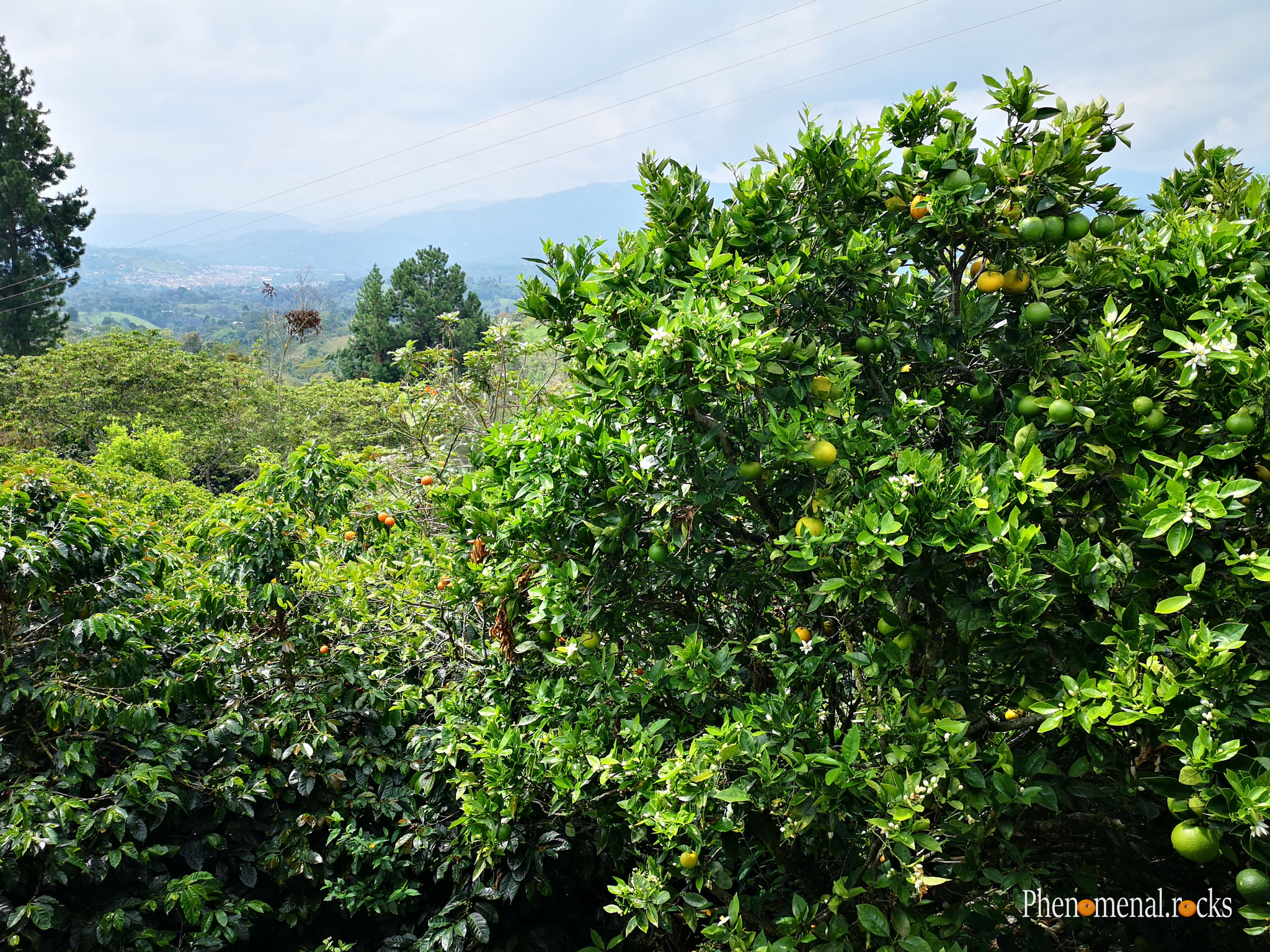 San Agustin, Huila - Tierra Activa