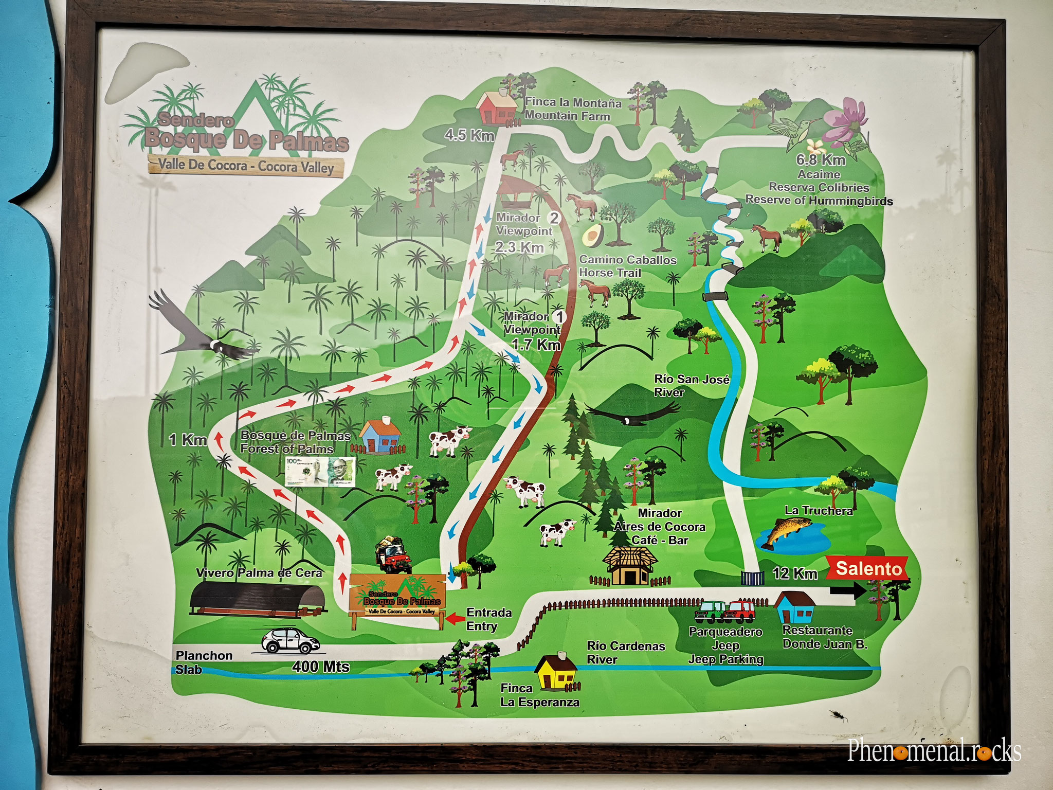 Valle del Cocora, Quindio