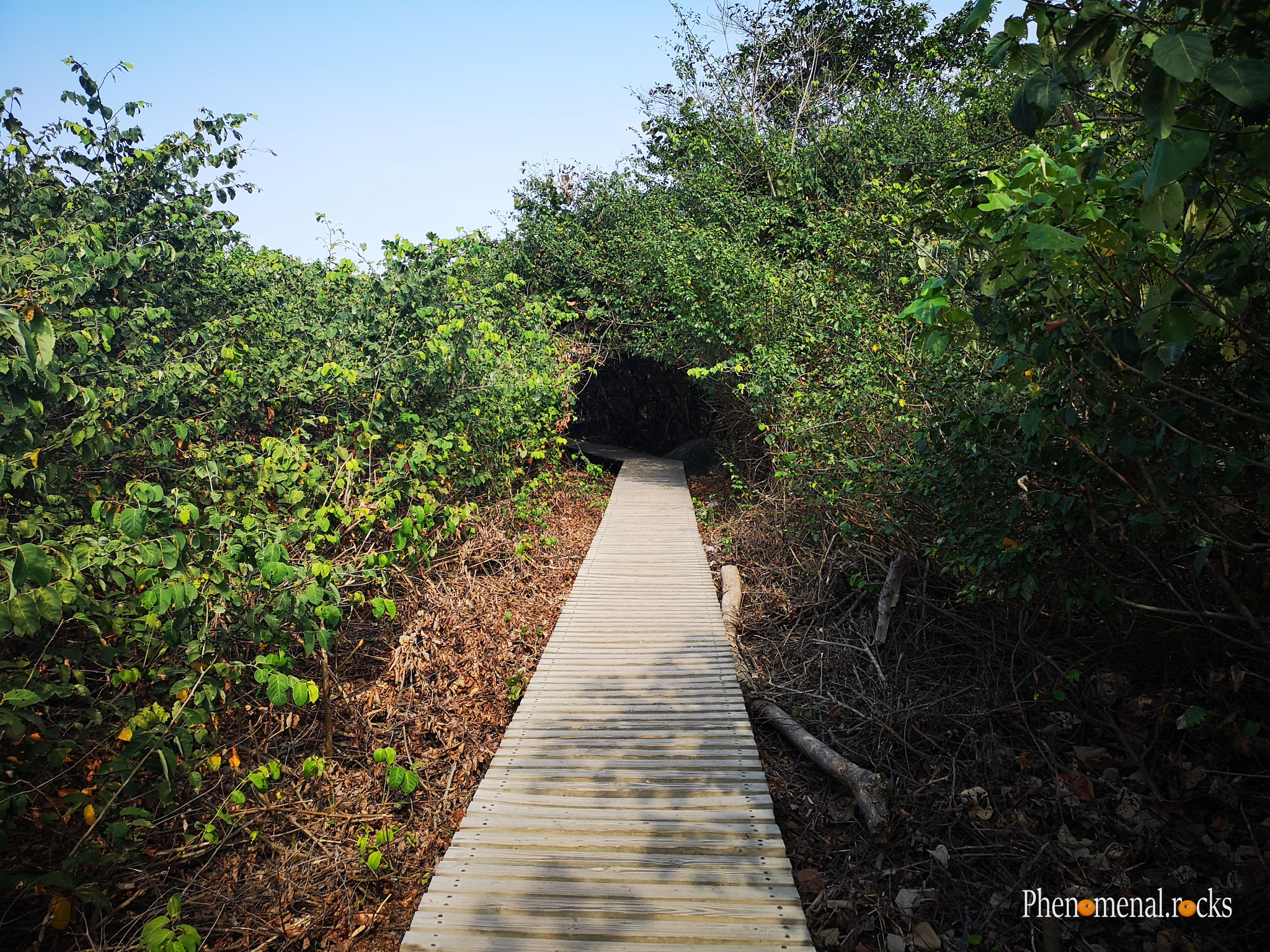 Parque Nacional Natural Tayrona, Magdalena