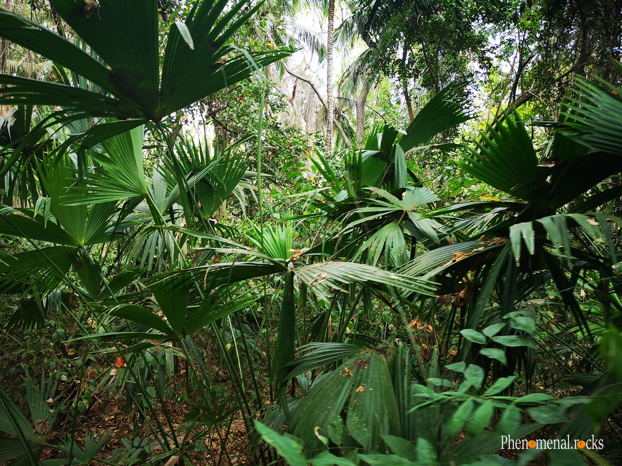 Parque Nacional Natural Tayrona, Magdalena