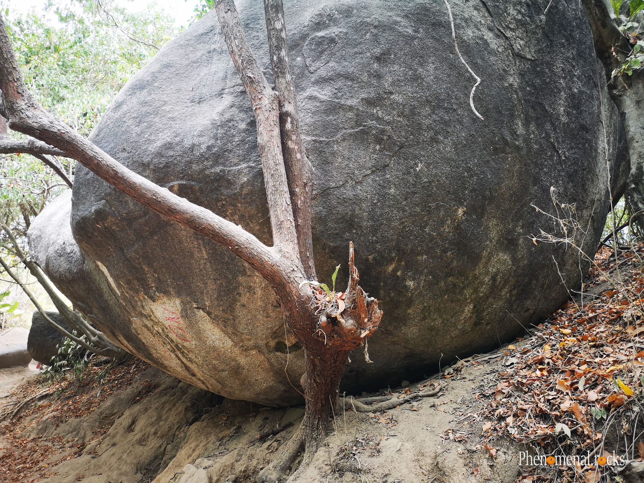 Parque Nacional Natural Tayrona, Magdalena