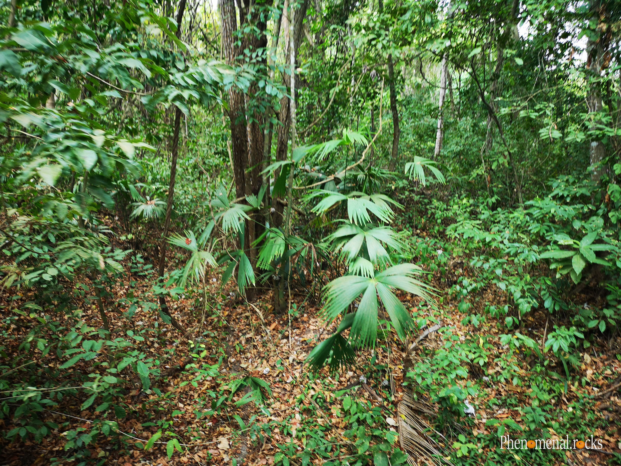 Parque Nacional Natural Tayrona, Magdalena