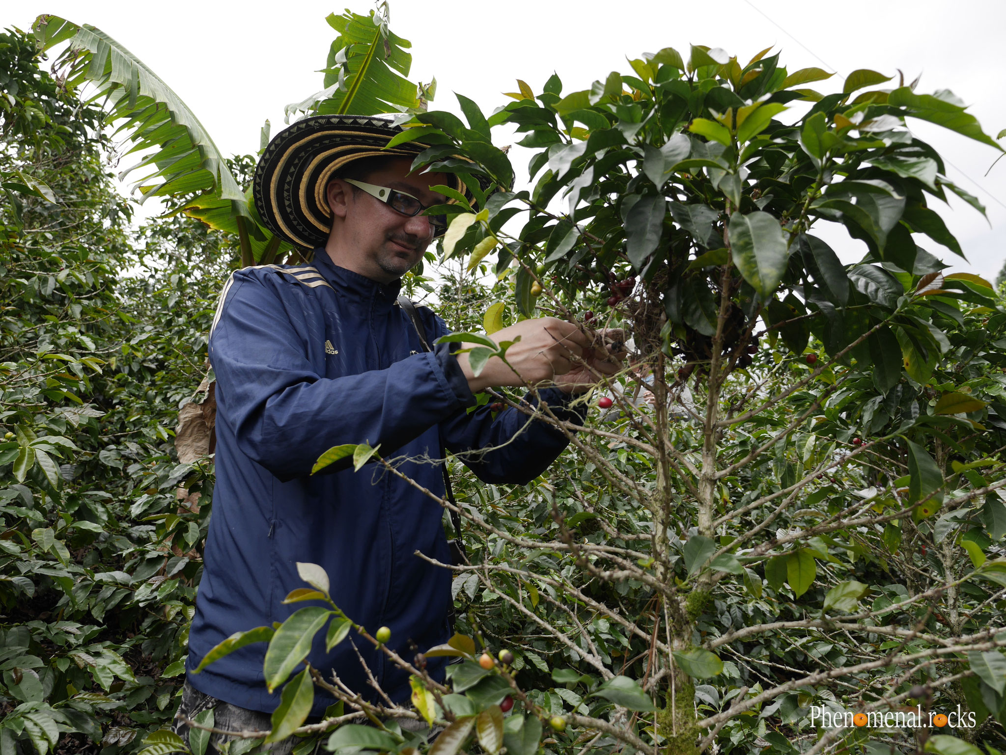 San Agustin, Huila - Tierra Activa