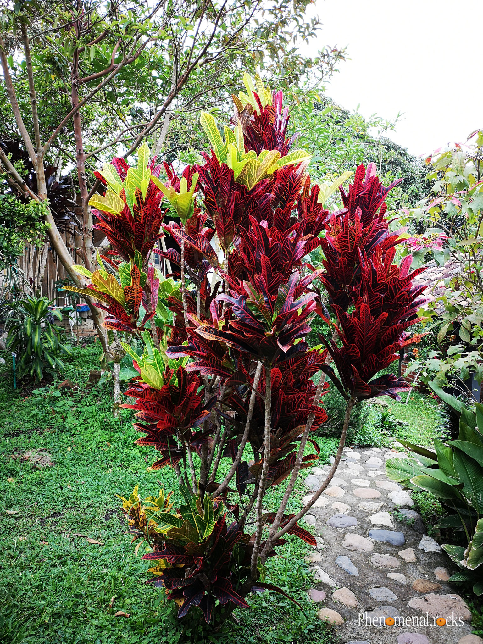 San Agustin, Huila - Hostal Alto de los Andaquies