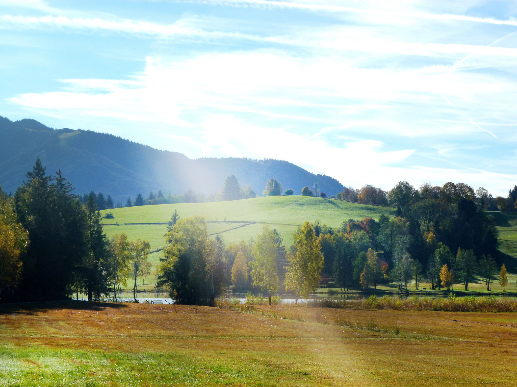 Blick aufs Hörnle