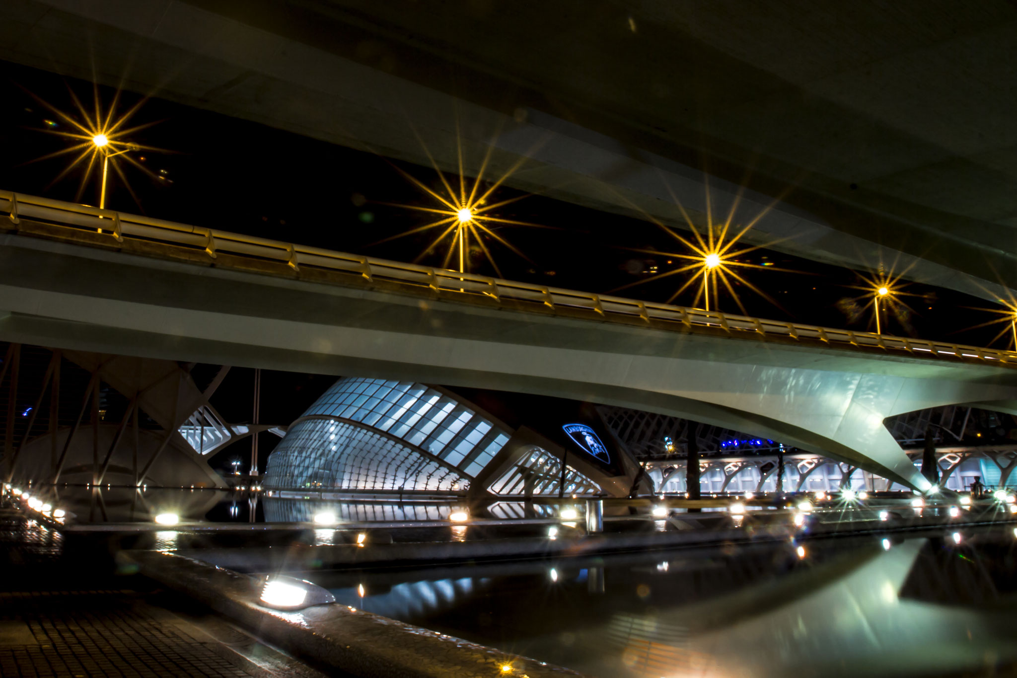 05_Ciutat de les Arts e les Ciencies in Valencia / Spain. 