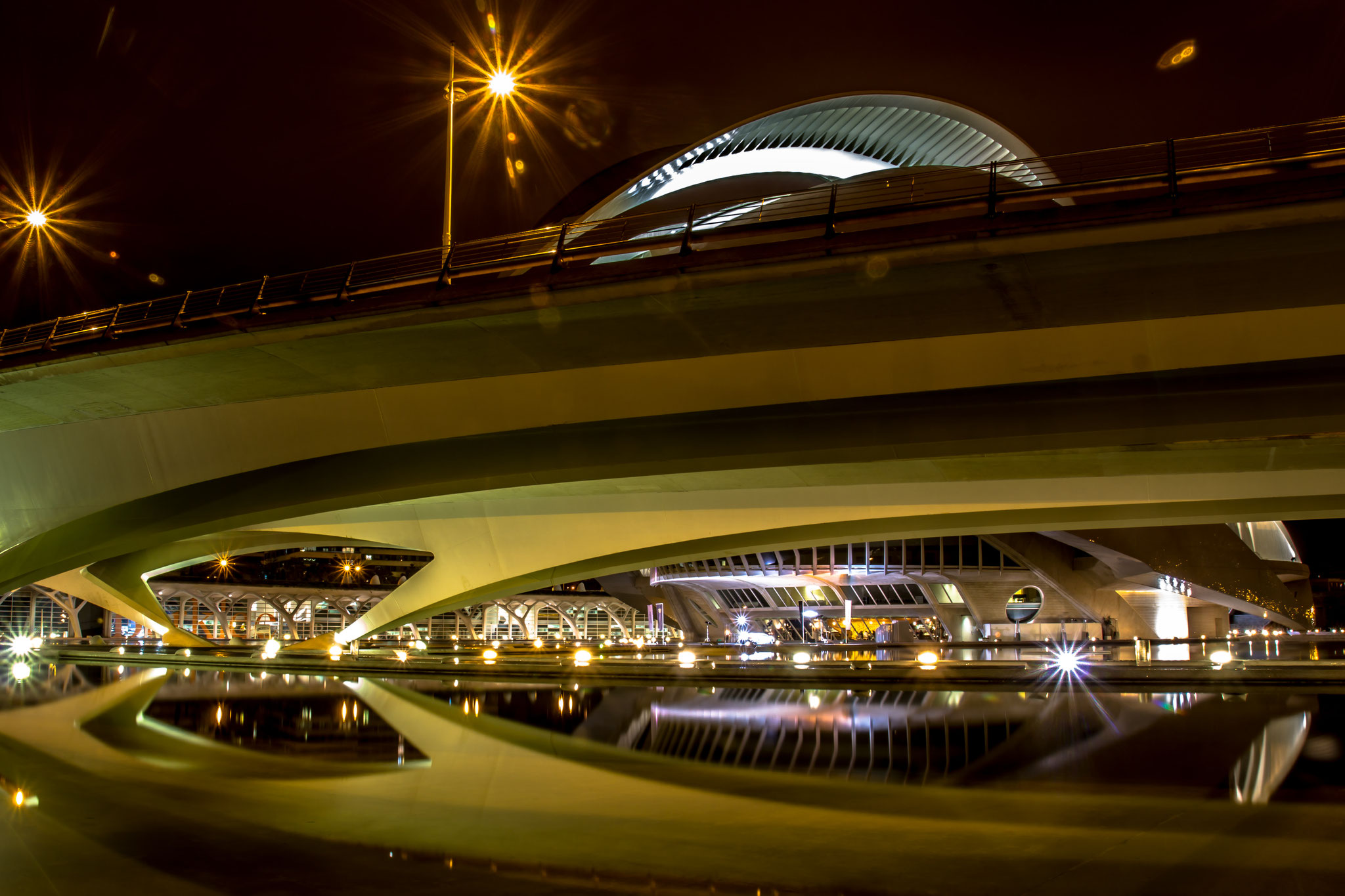 03_Ciutat de les Arts e les Ciencies in Valencia / Spain. 