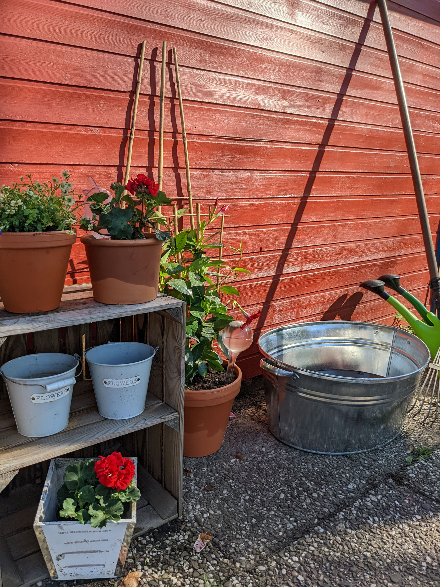 Stillleben im Garten 2022