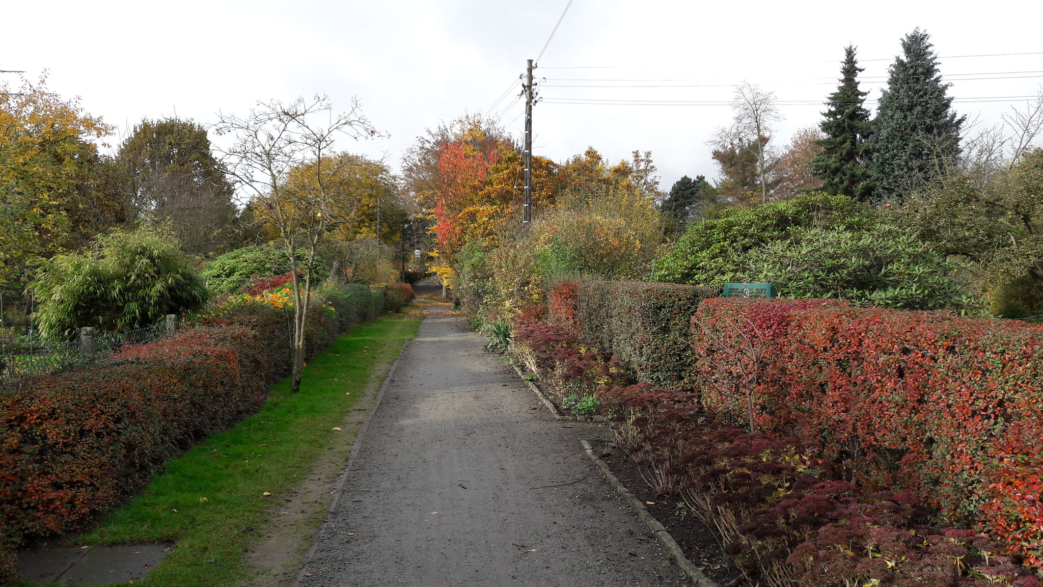 Eichenweg aus der Altanlage in Richtung City November 2016