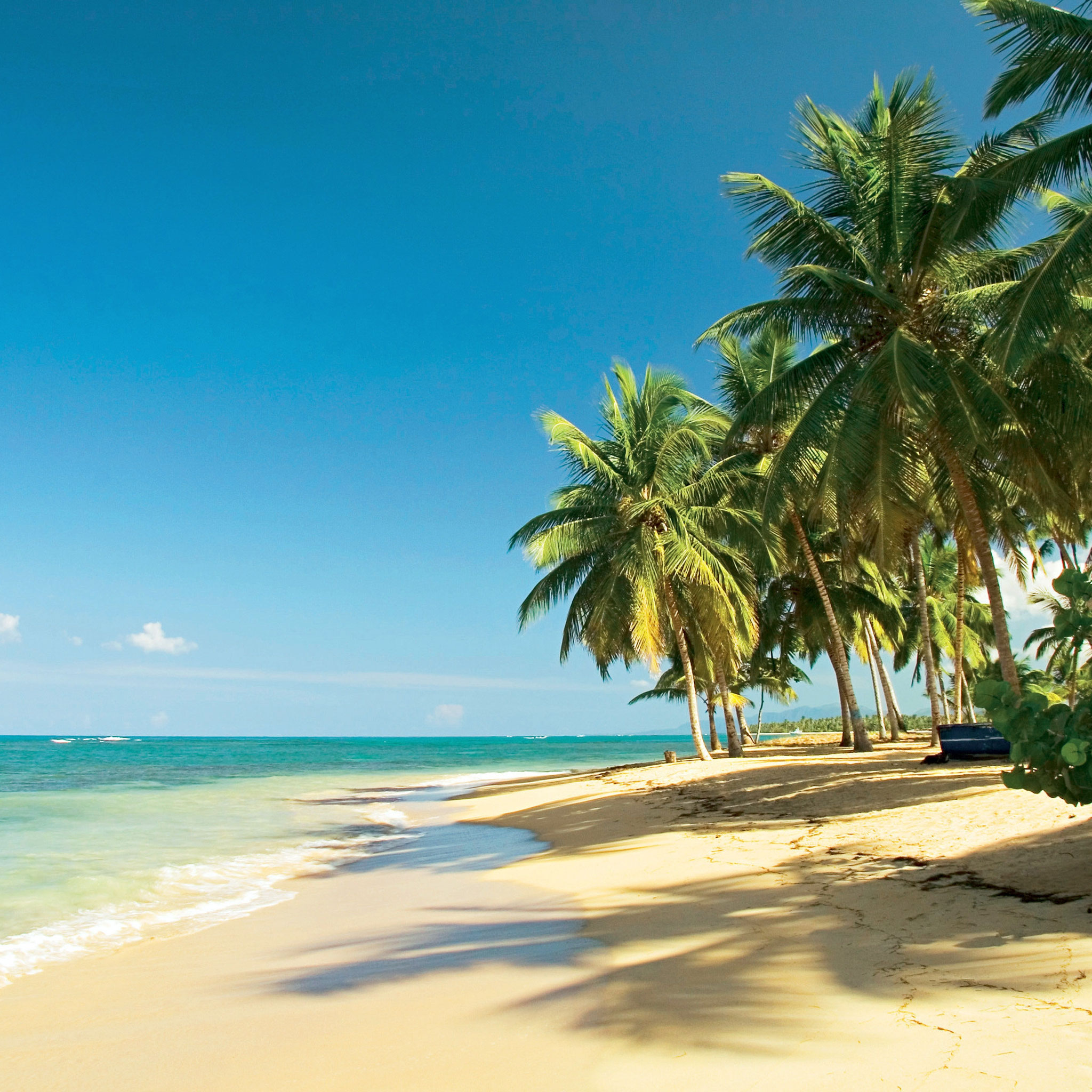 ***** Hotel Melia Cayo Coco - Erwachsenenhotel ab 18 Jahren