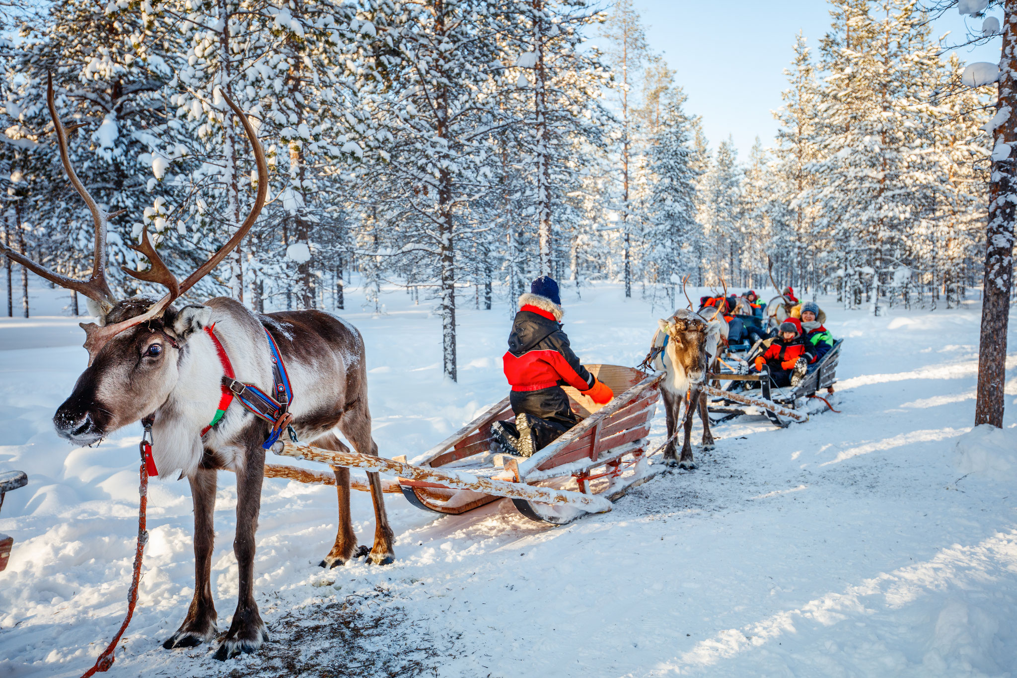 Abenteuer-Winterwoche in Finnisch Lappland