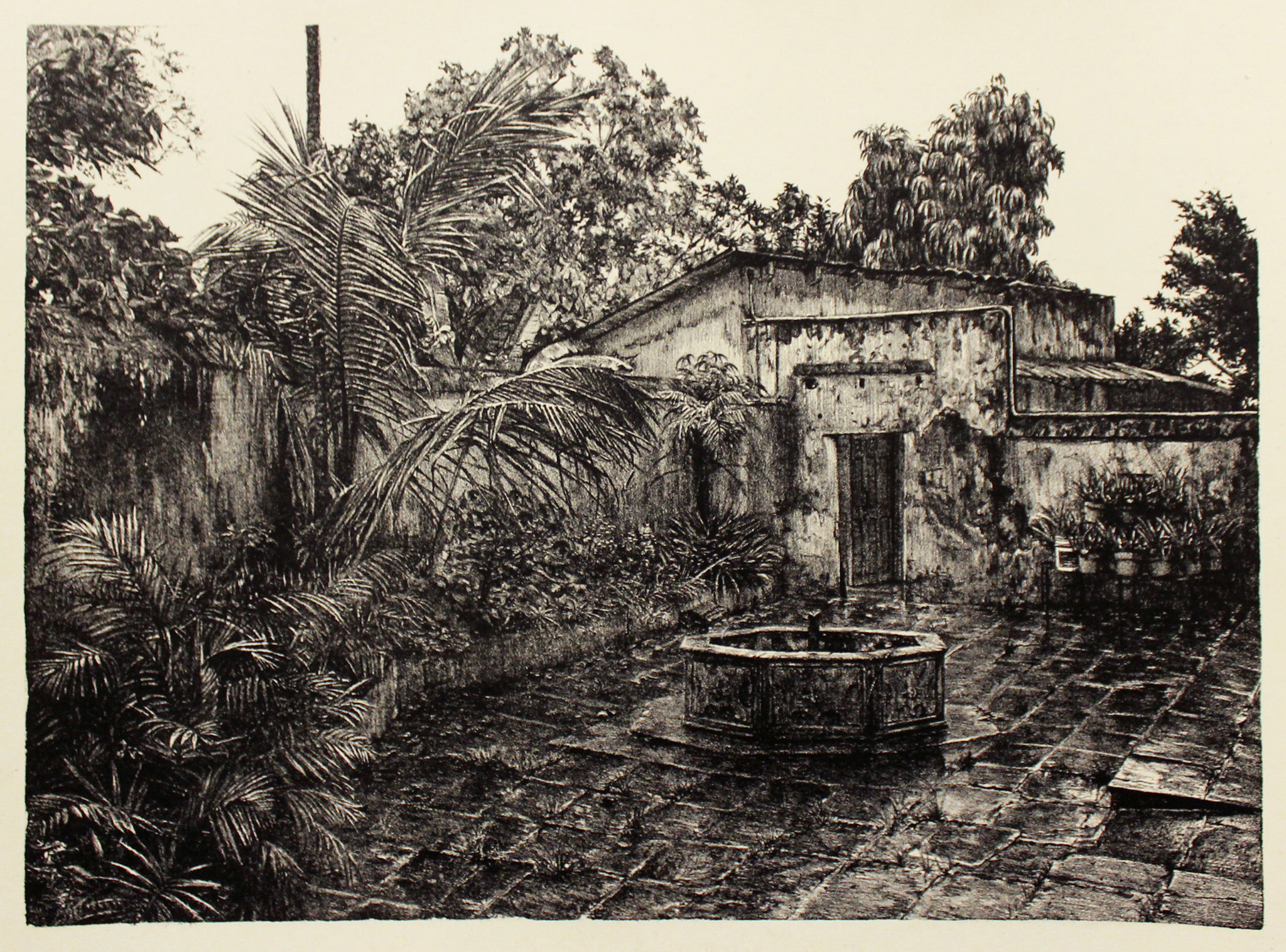 "Después de la lluvia" Lithography, 15x22in, 2019