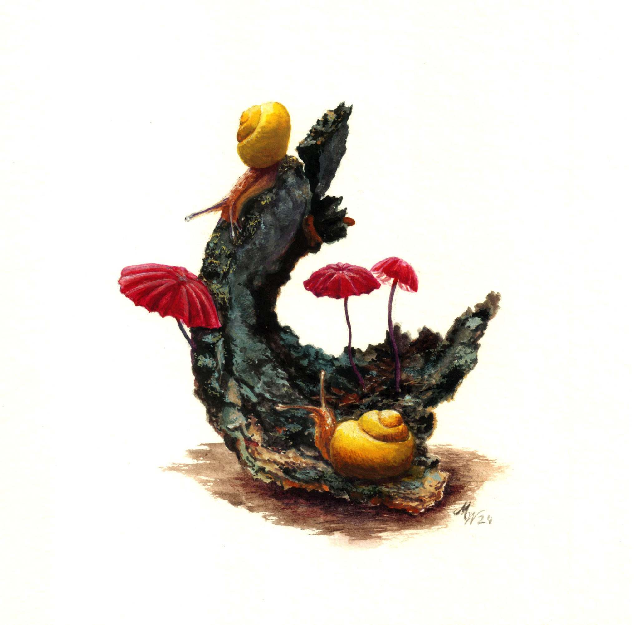 "Snails- Cepaea nemoralis", guoache on Hanhemühle Bamboo paper, 15x15cm, 2024