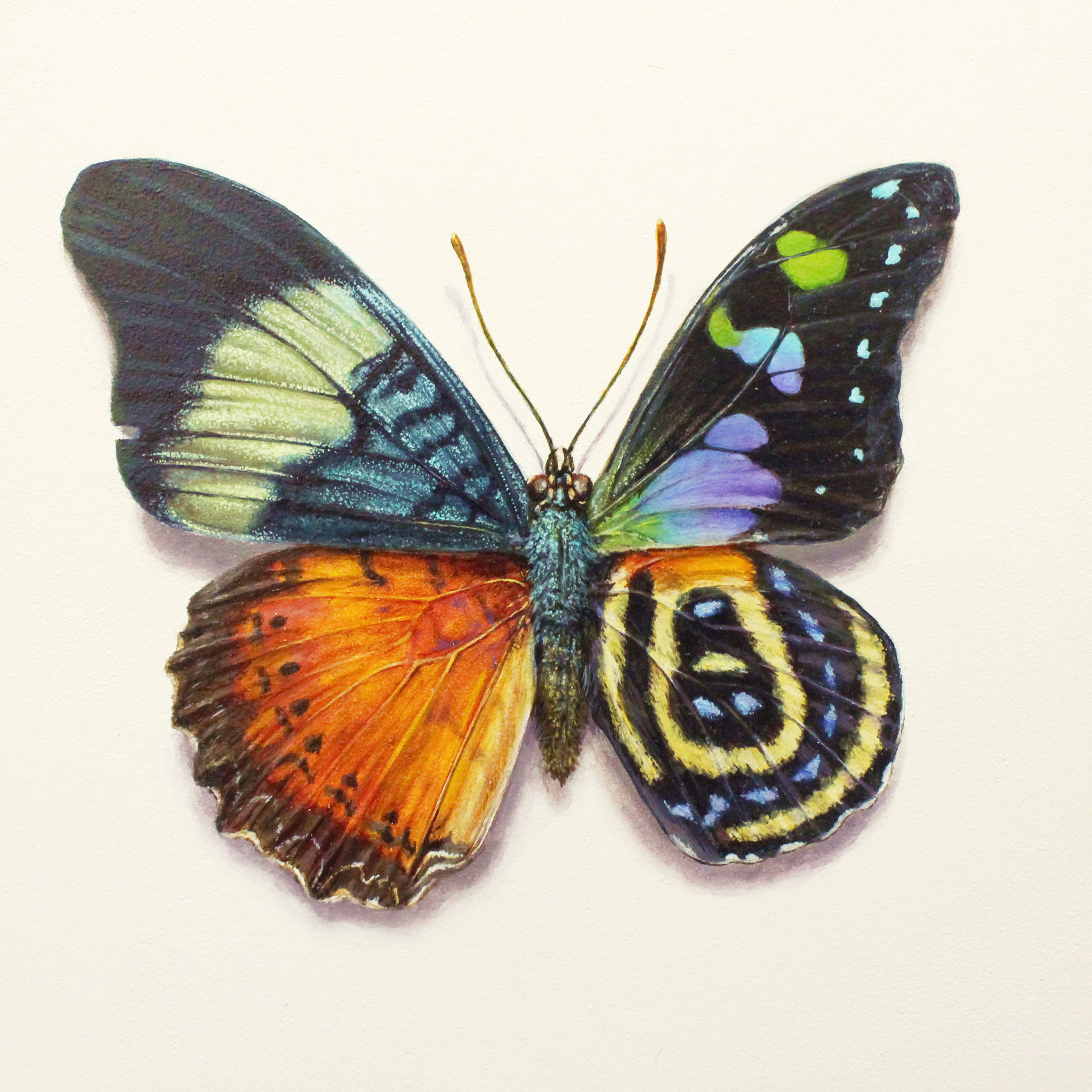 "Lepidoptera Aliarum Variarum" Acrylic on Panel, 5x5in, 2019