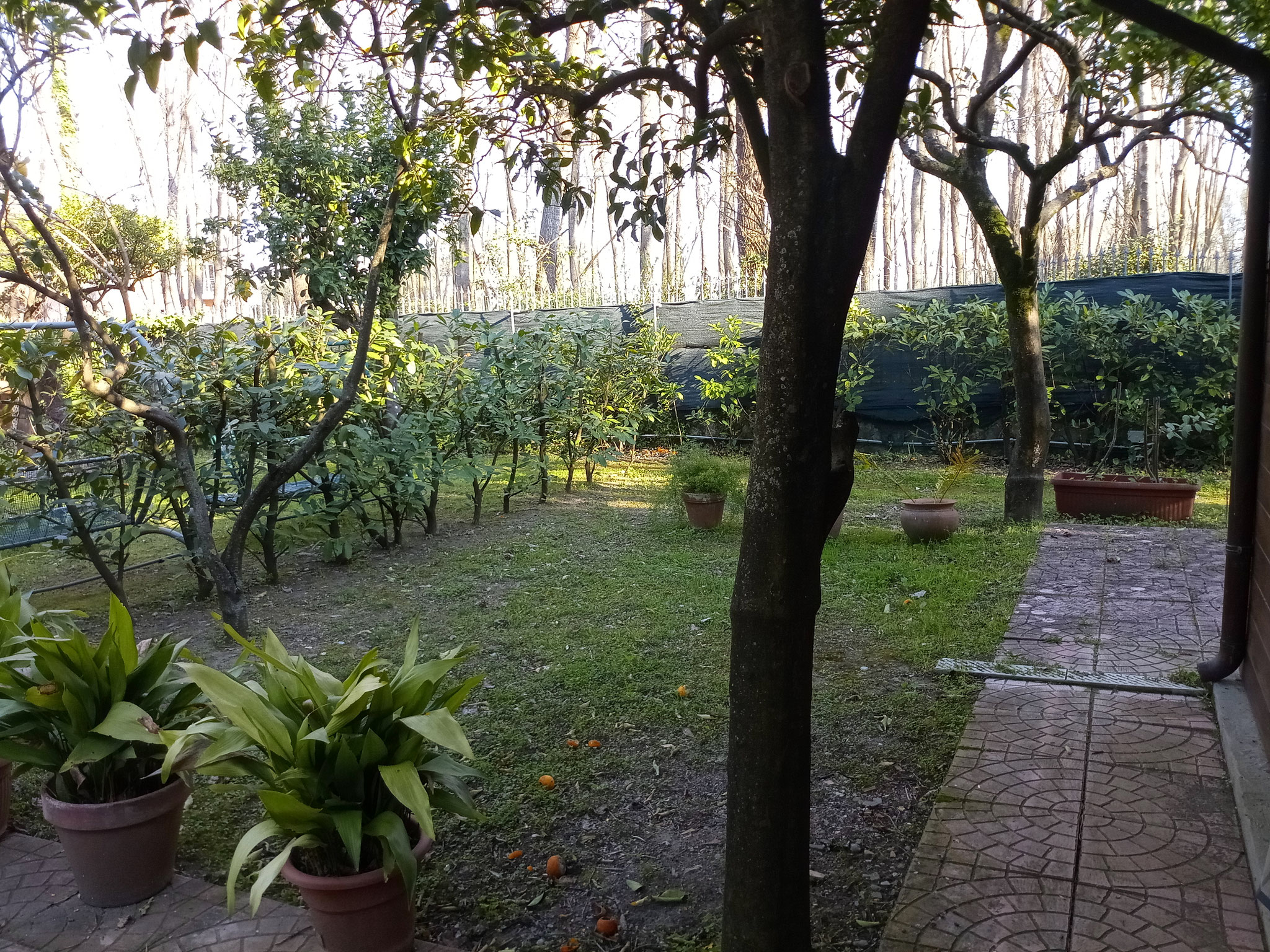 giardino esclusivo