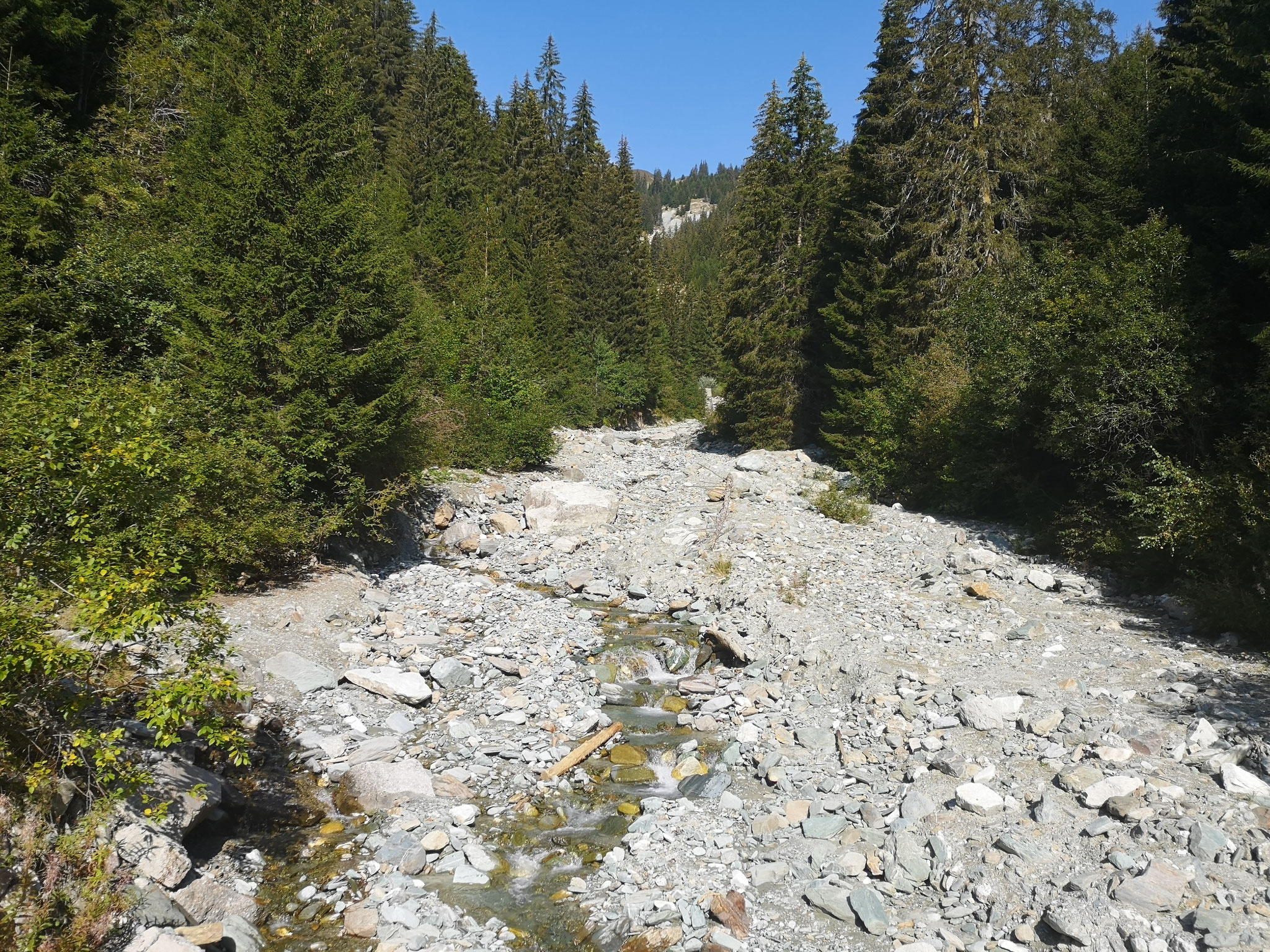 Wasser hören und sehen