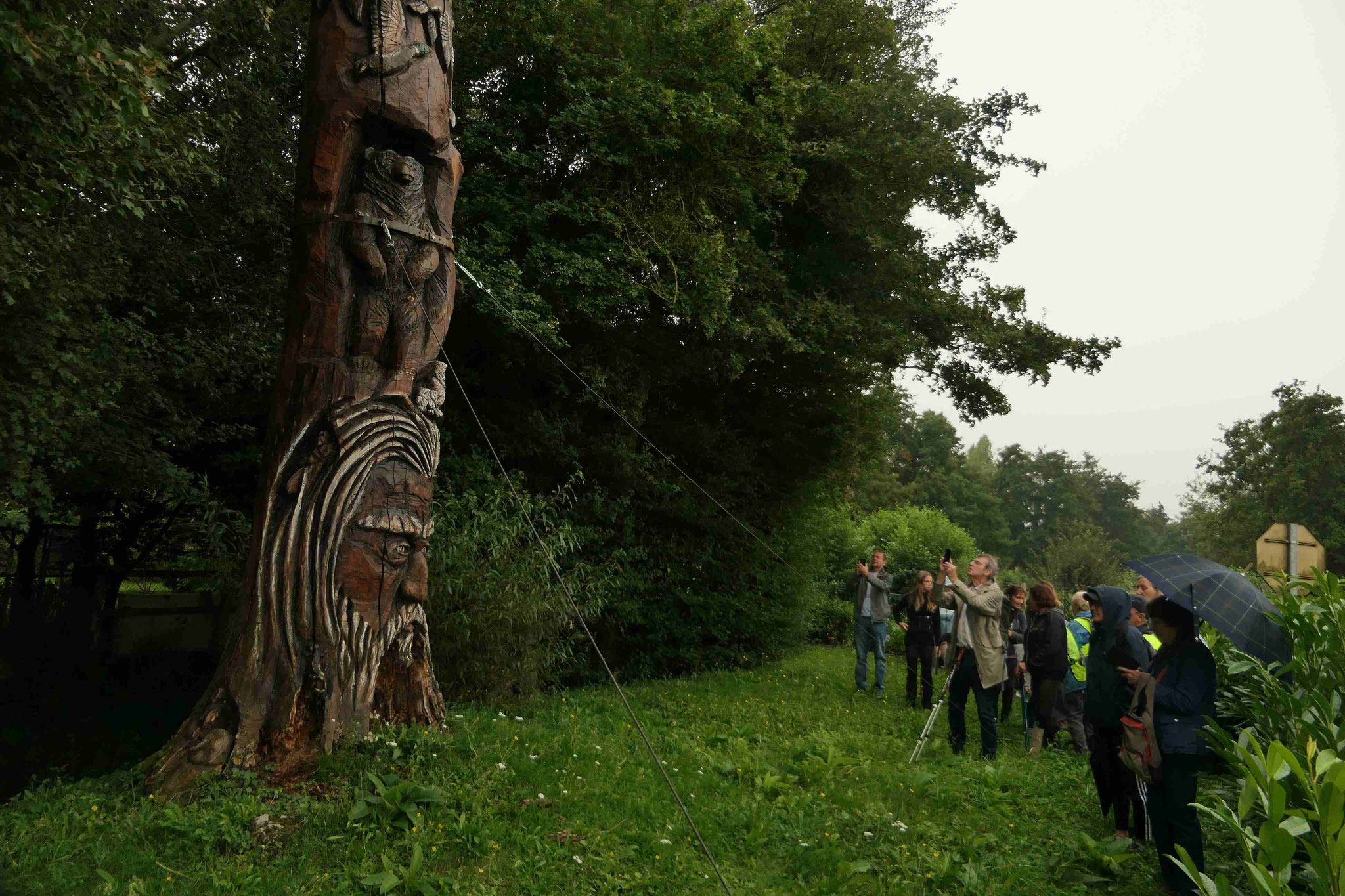 L'arbre sculpté