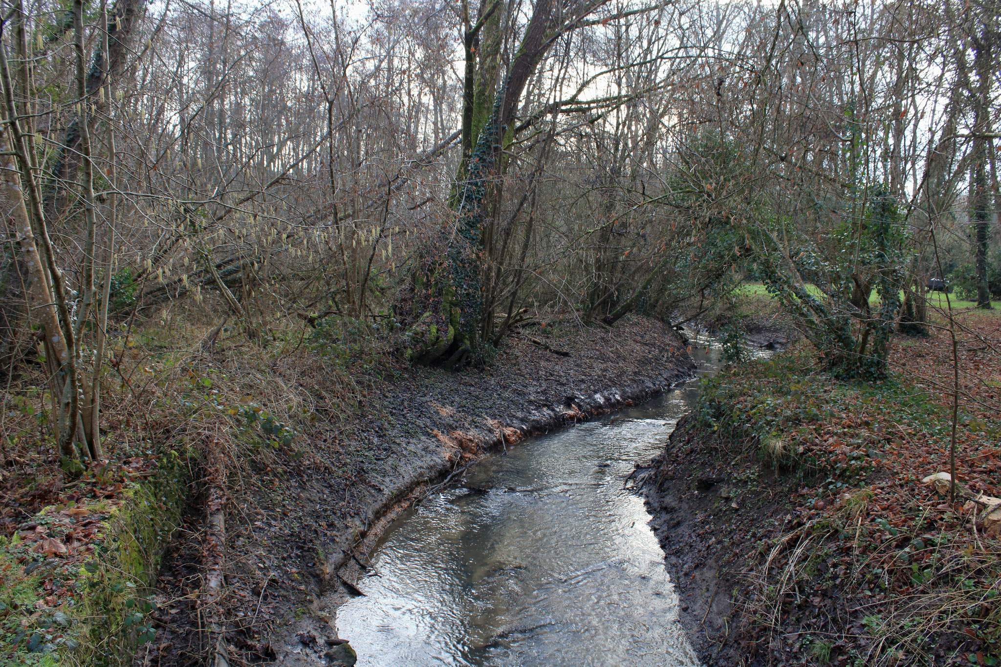 La Drouette le long du GR 655