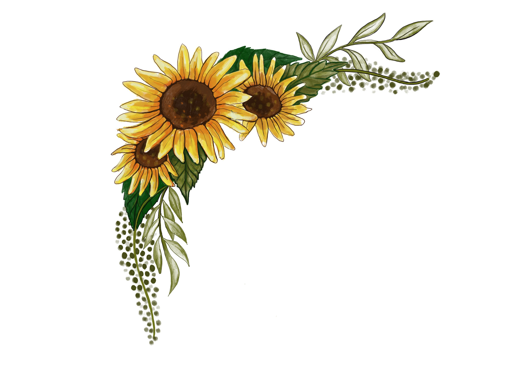 Zeichnung Sonnenblume