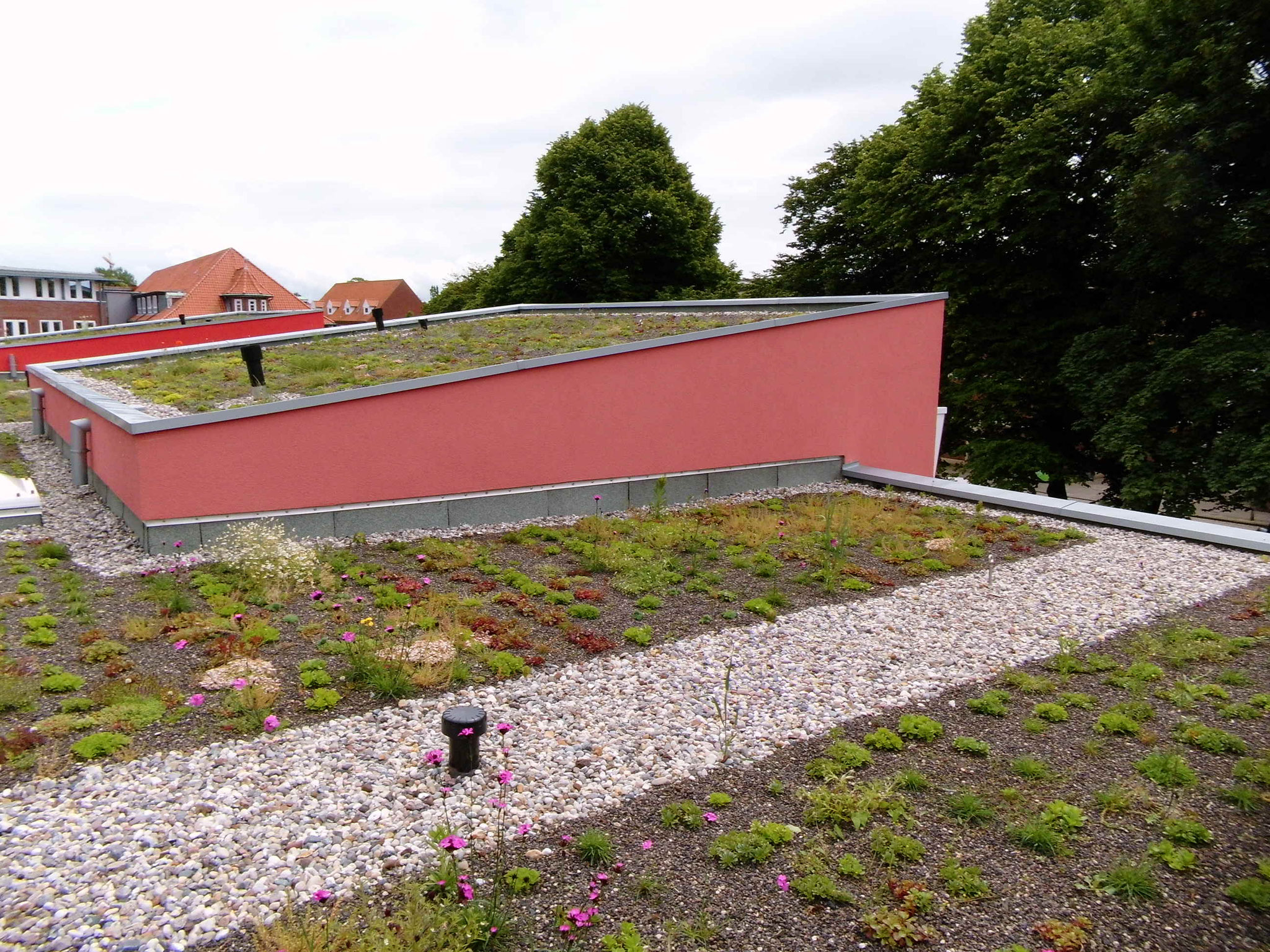 Dachbegrünung Gartengestaltung Landschaftsbau Gartenplanung Cuxhaven