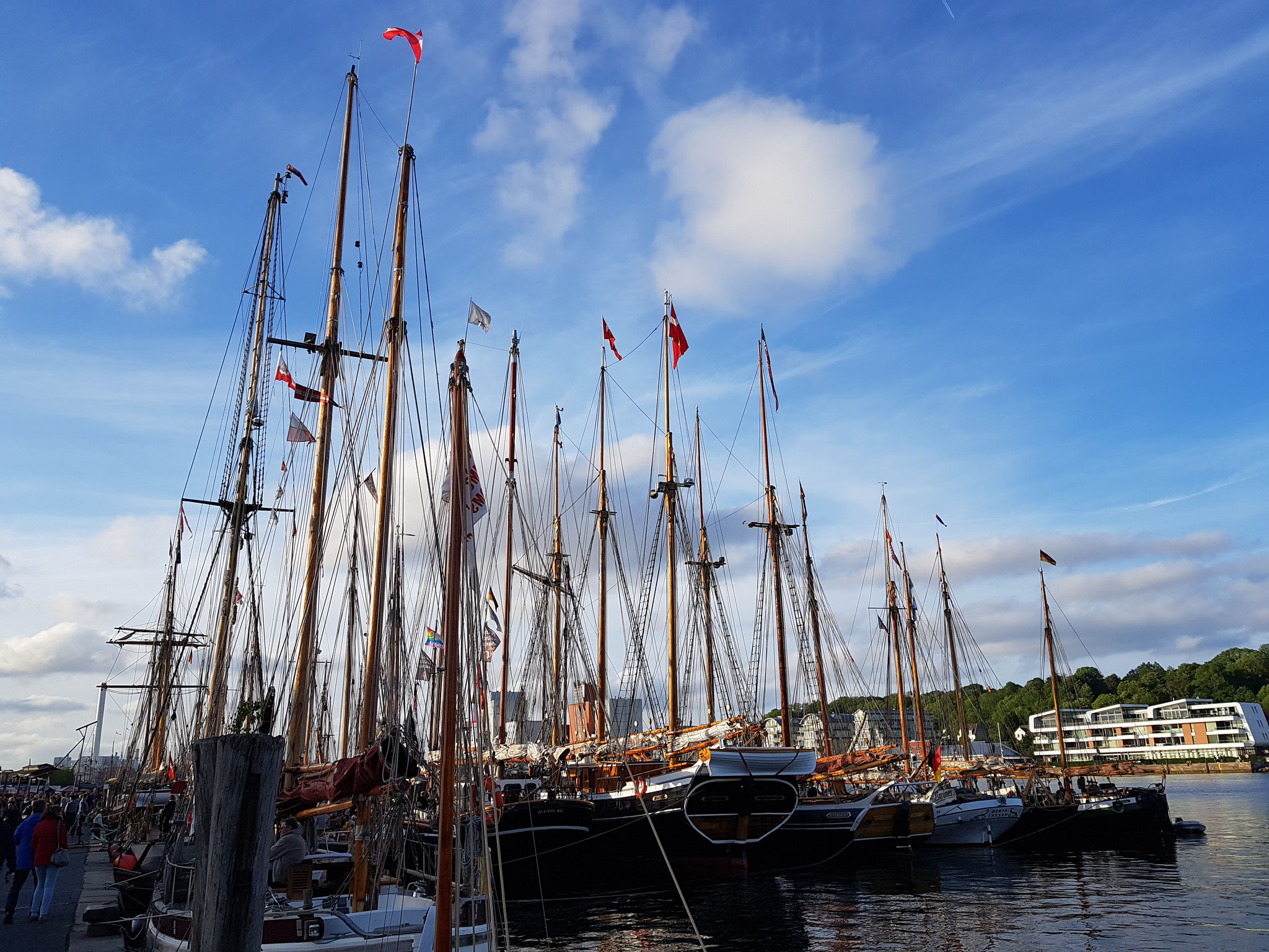 Rumregatta Flensburg traditionsseglerbertas seite!