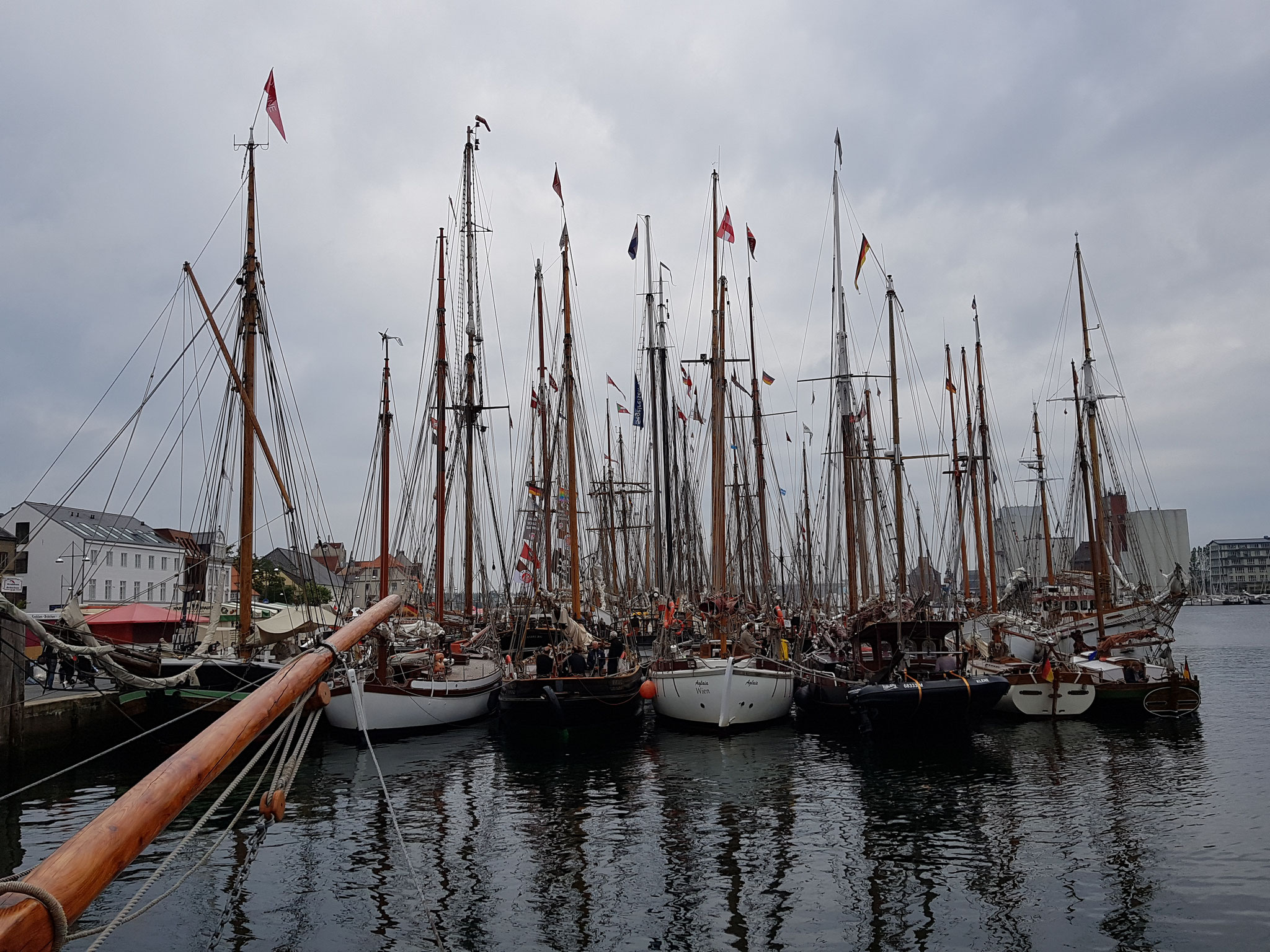 Rumregatta Flensburg traditionsseglerbertas seite!