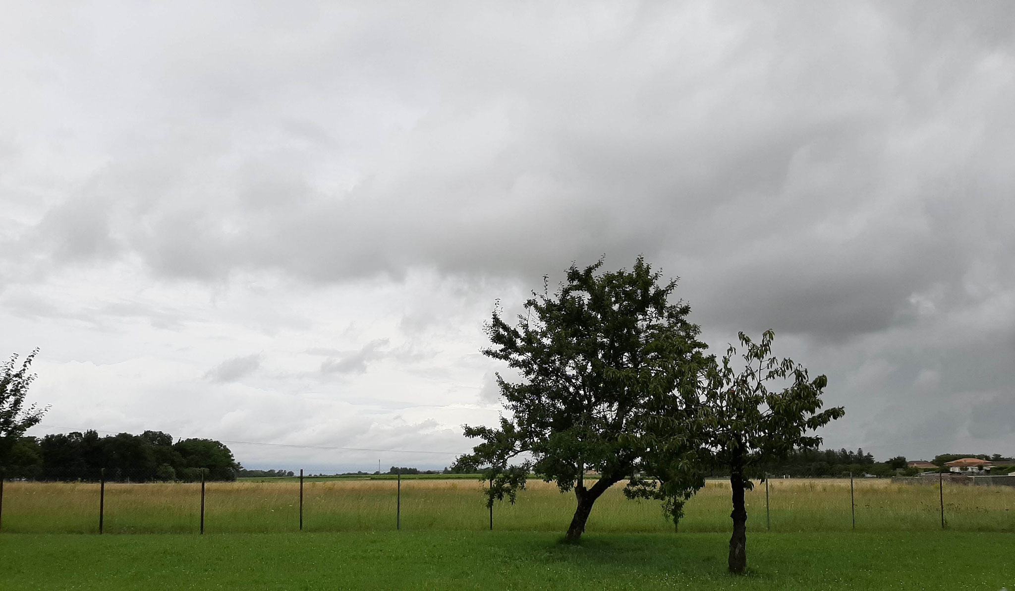 Vue depuis le terrain situé derrière l'ancien café.