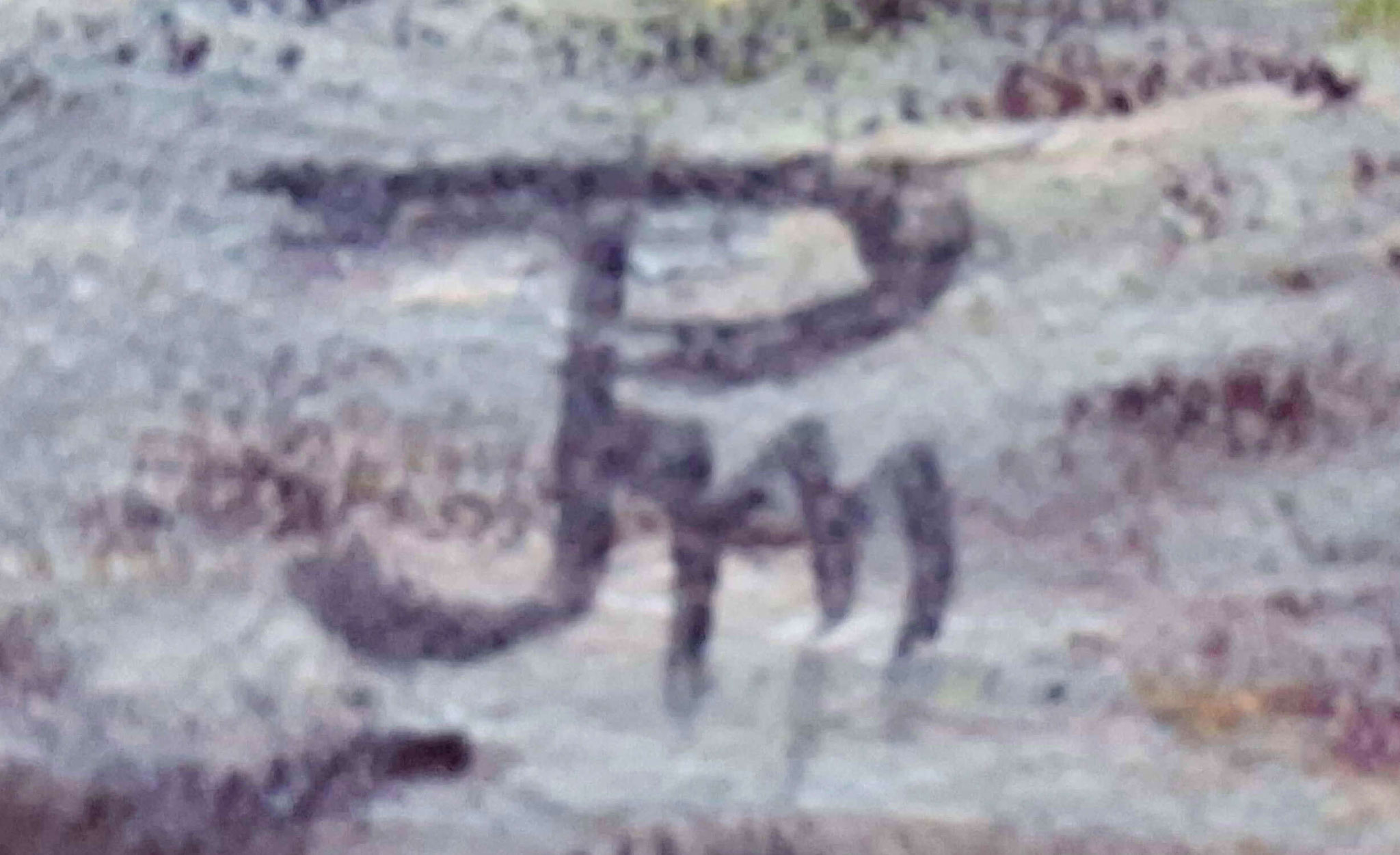 Detalle de una pintura al óleo de una marina de la playa de Valencia con un velero en el horizonte, 
