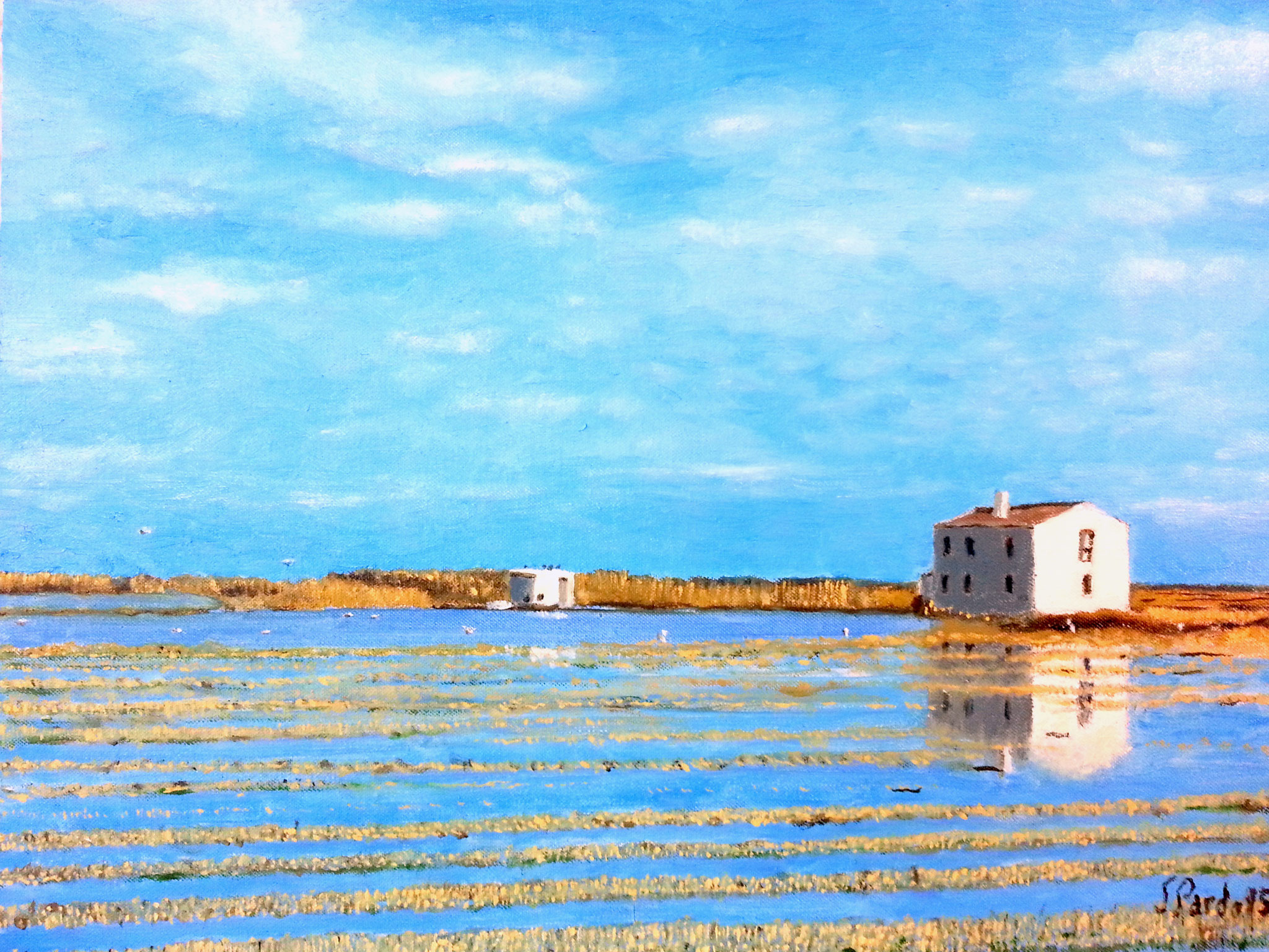 Casita en la albufera