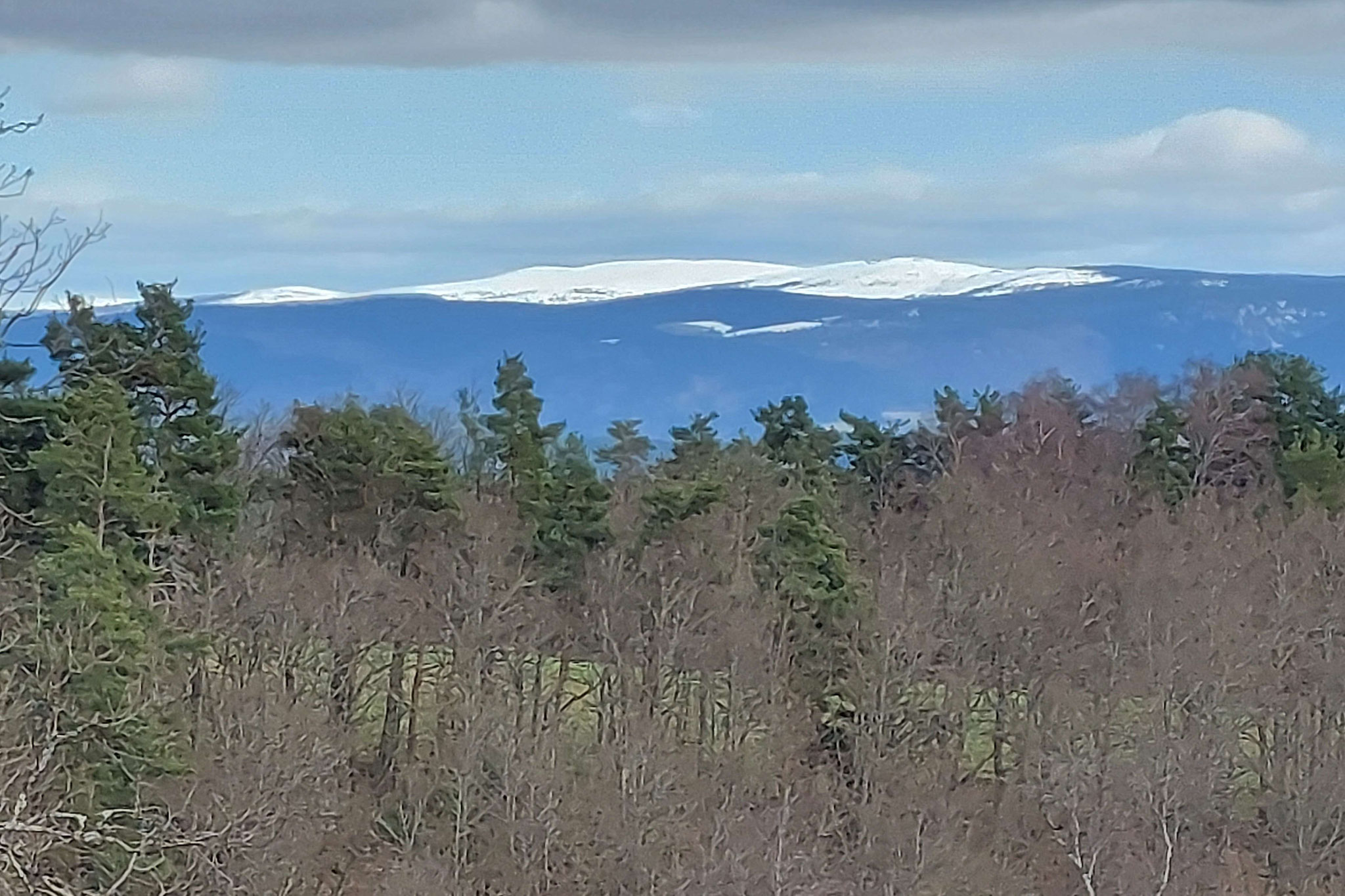 Mont Lozère enneigé