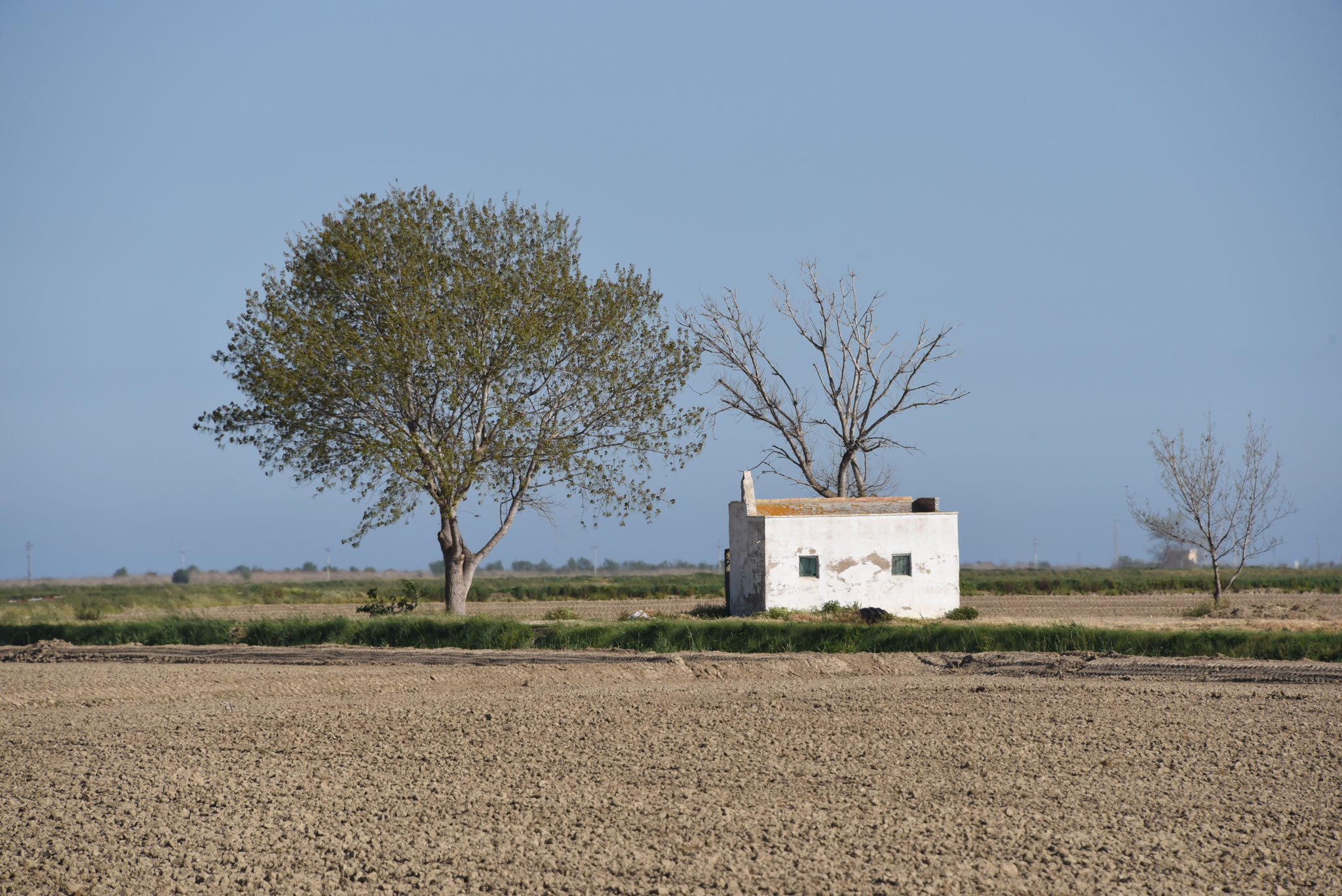 encore une cabane blanche