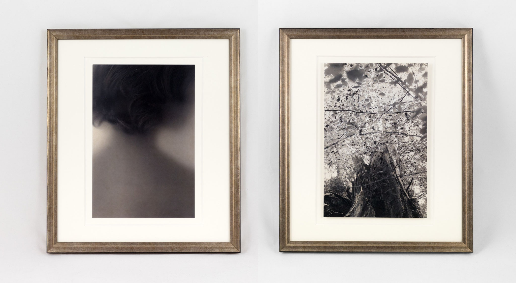 Kirsten Radermacher, Selbst #8 2019 and Baum #2 2021