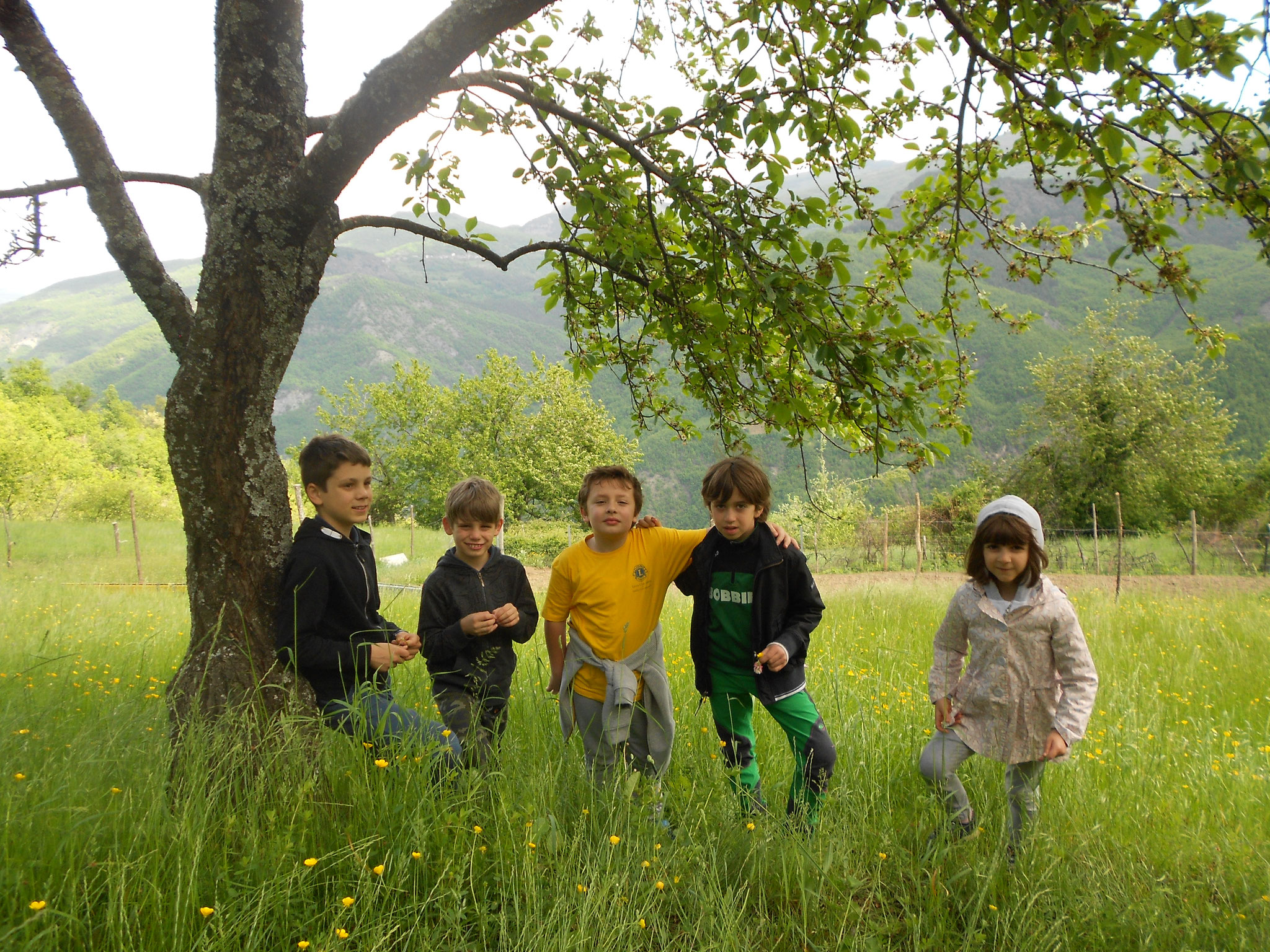 Lisore di Cerignale (PC)  13 maggio  - Giornata della Lumaca - I NOSTRI SRAVEIGHI 